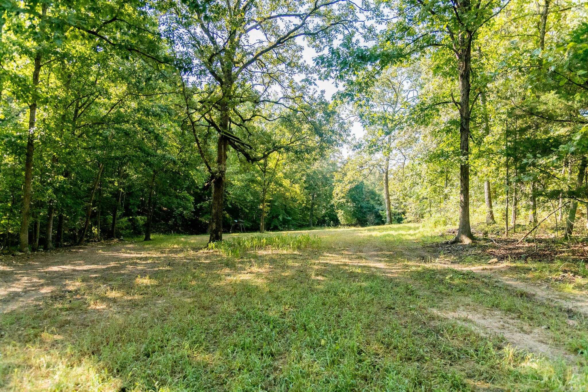314 Bear Bluff Trail  Ravenden, AR