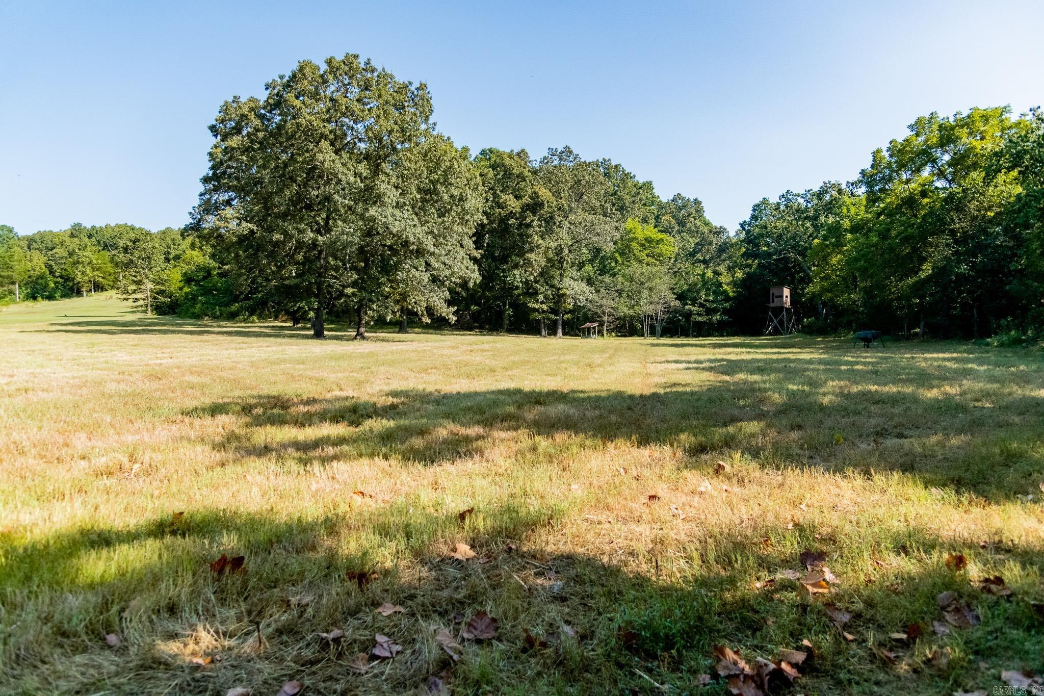 314 Bear Bluff Trail  Ravenden, AR