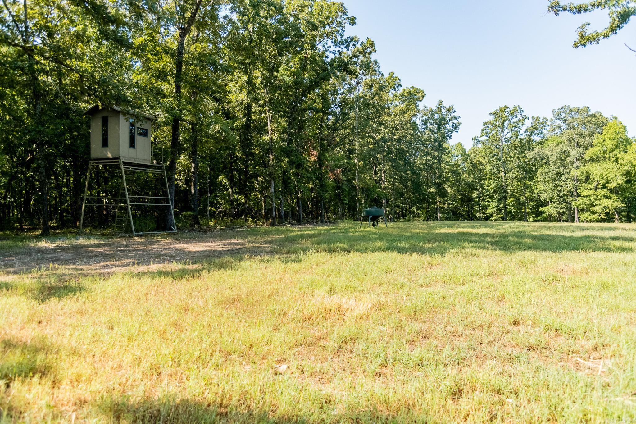 314 Bear Bluff Trail  Ravenden, AR