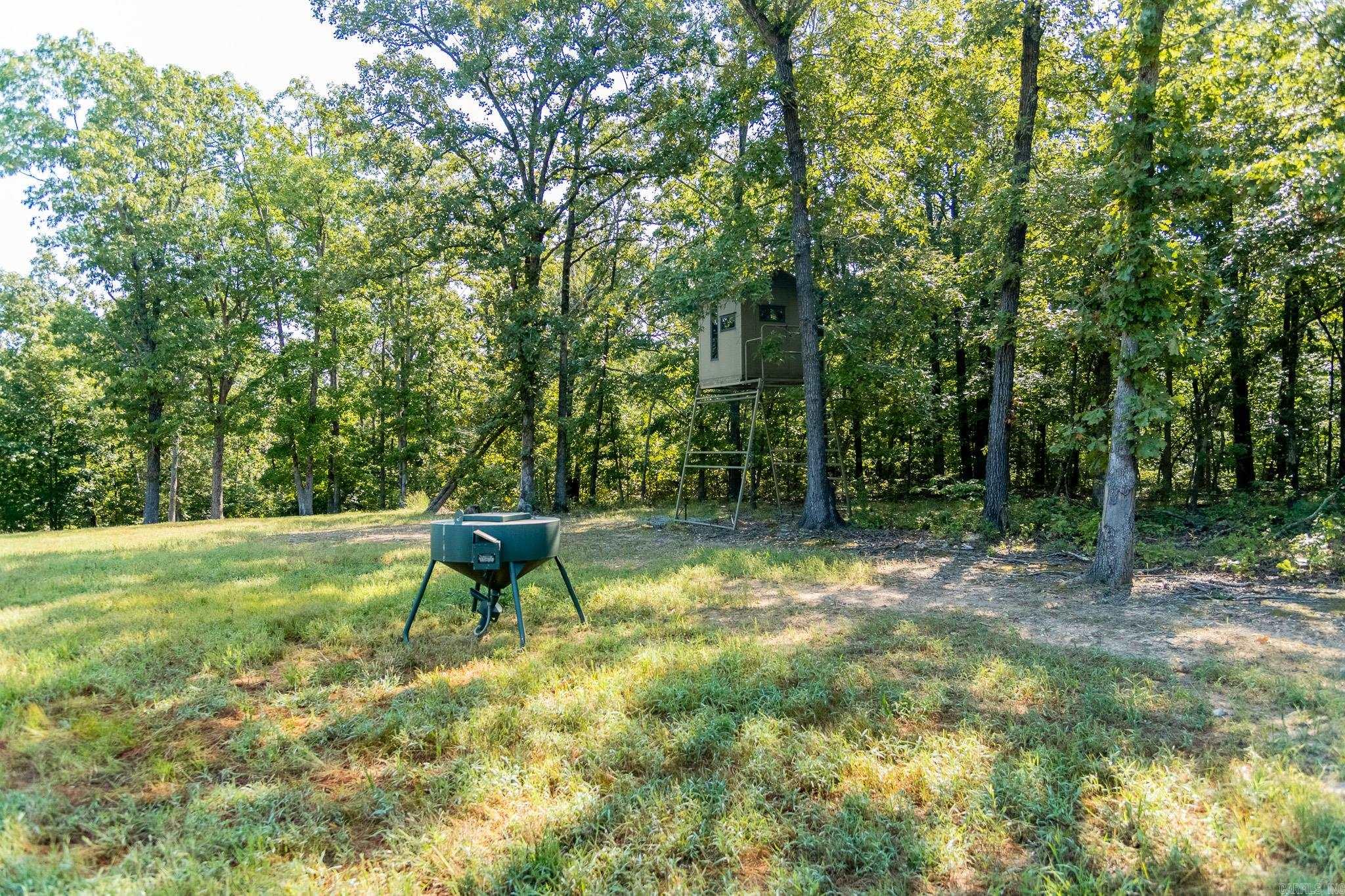 314 Bear Bluff Trail  Ravenden, AR