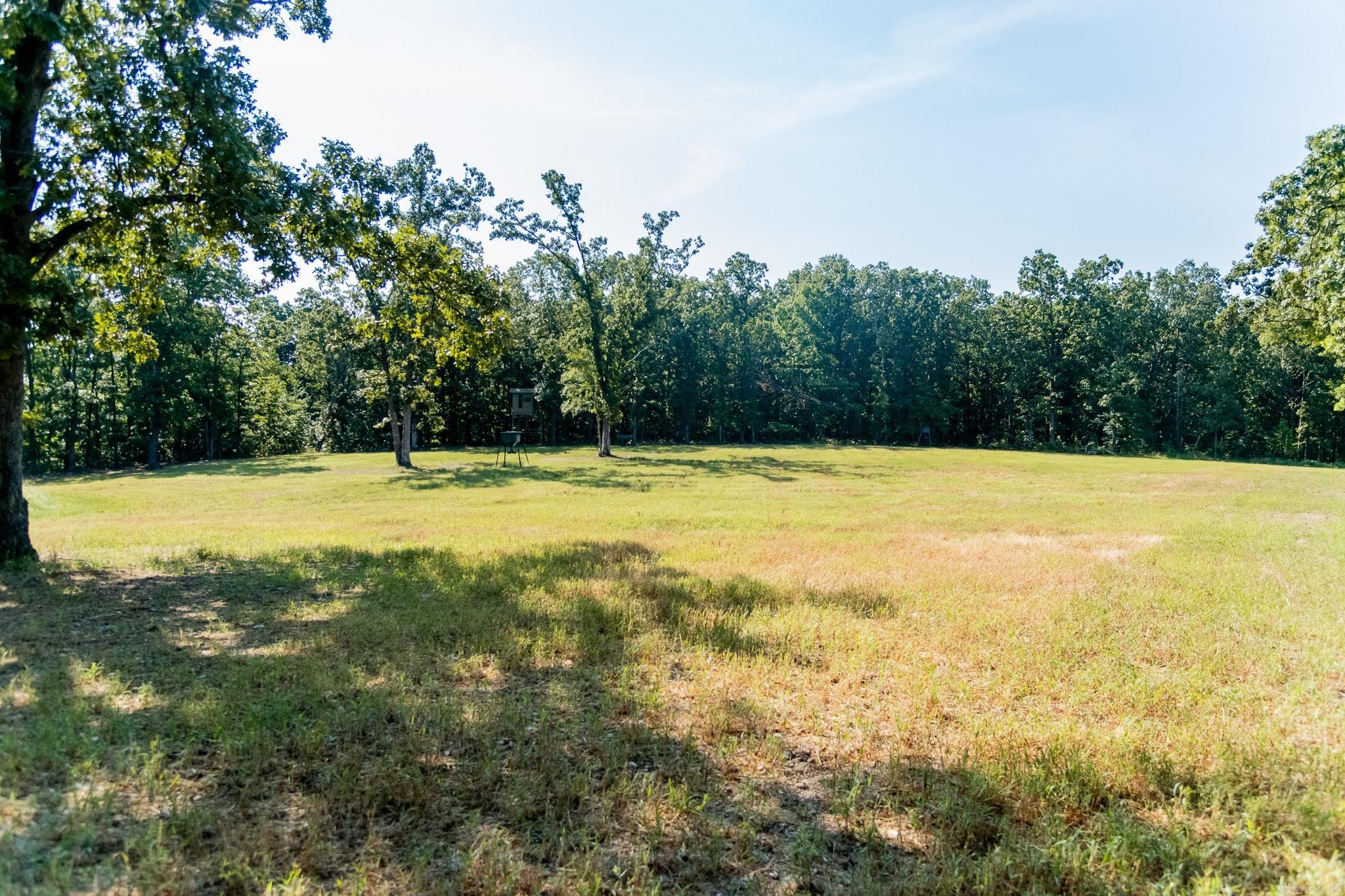 314 Bear Bluff Trail  Ravenden, AR