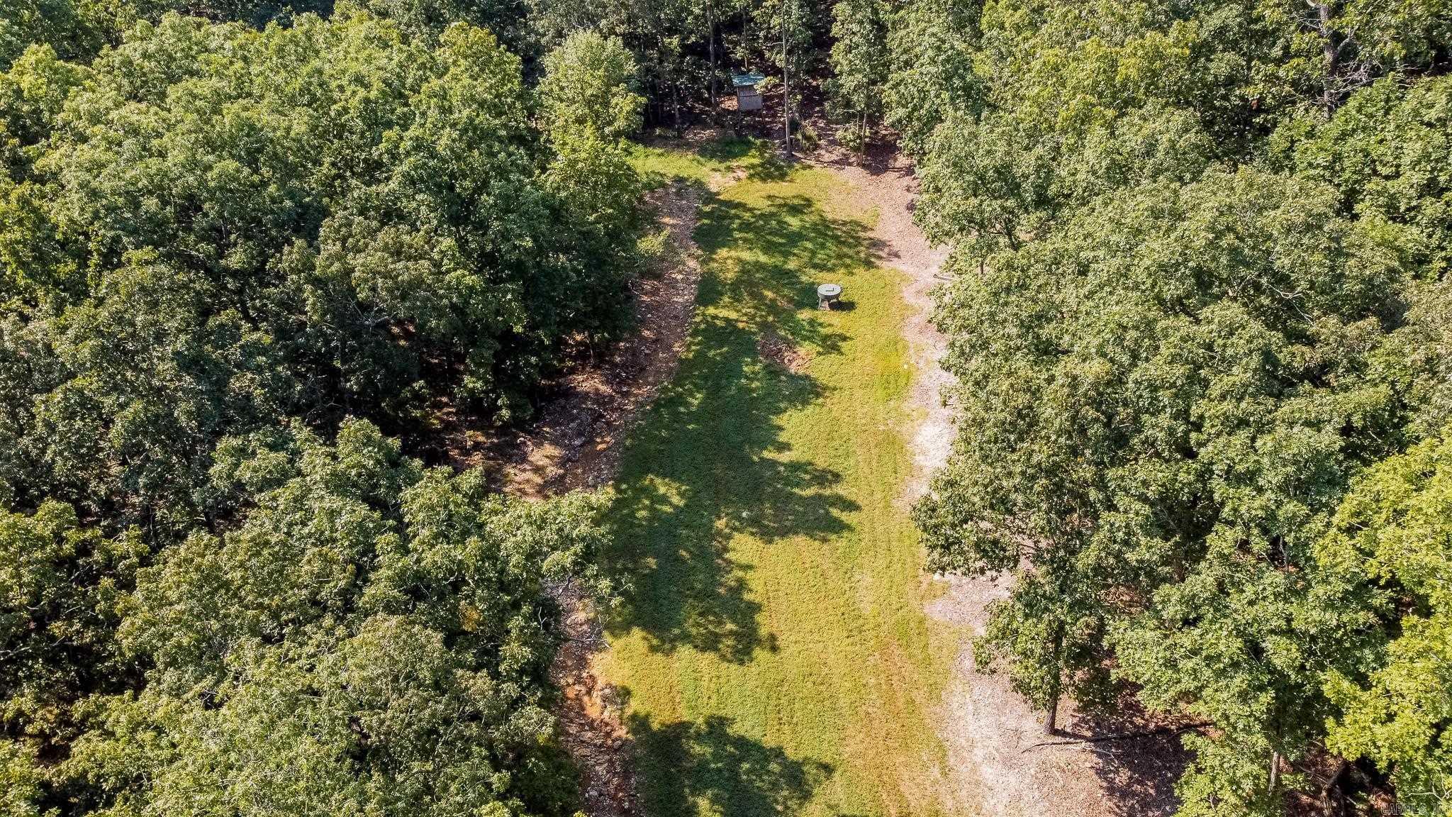 314 Bear Bluff Trail  Ravenden, AR