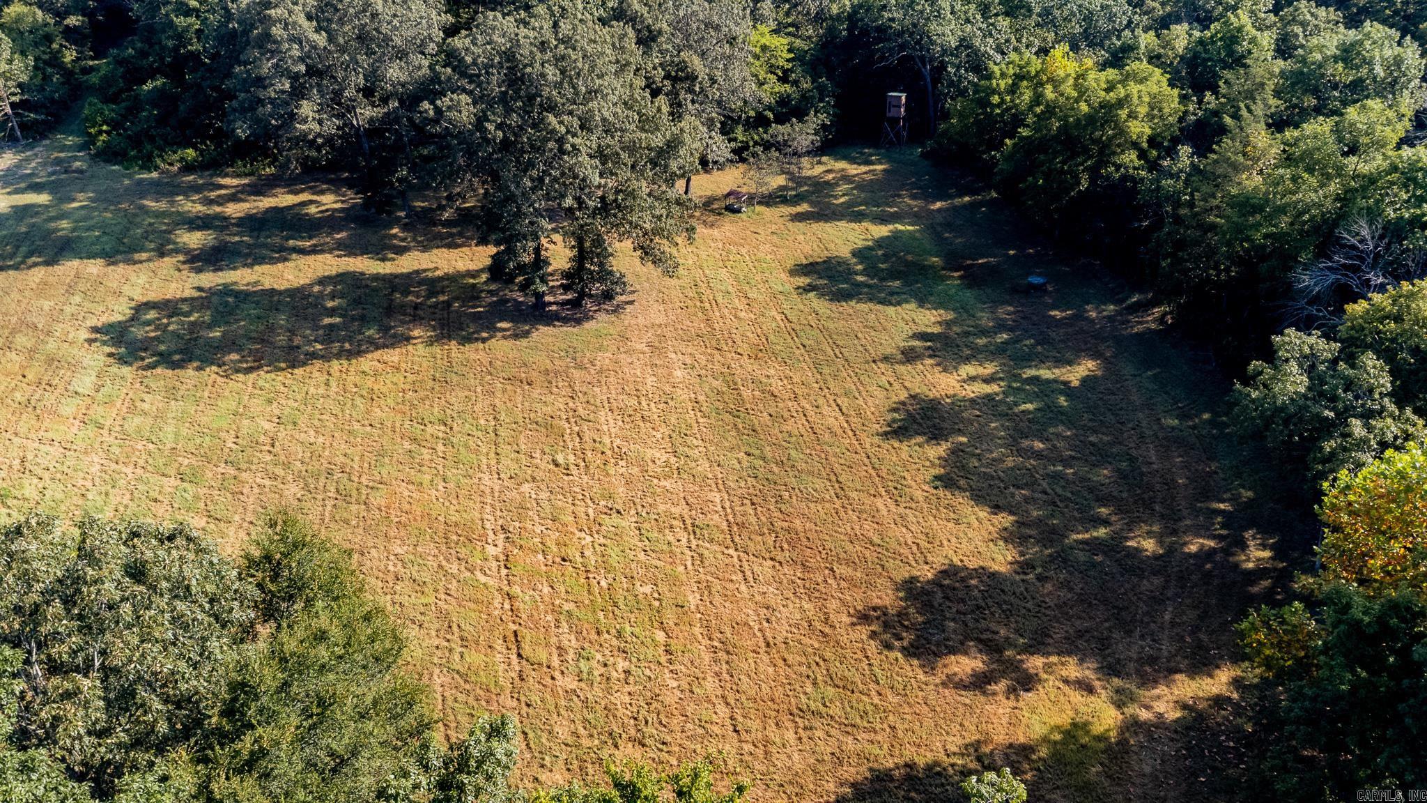 314 Bear Bluff Trail  Ravenden, AR