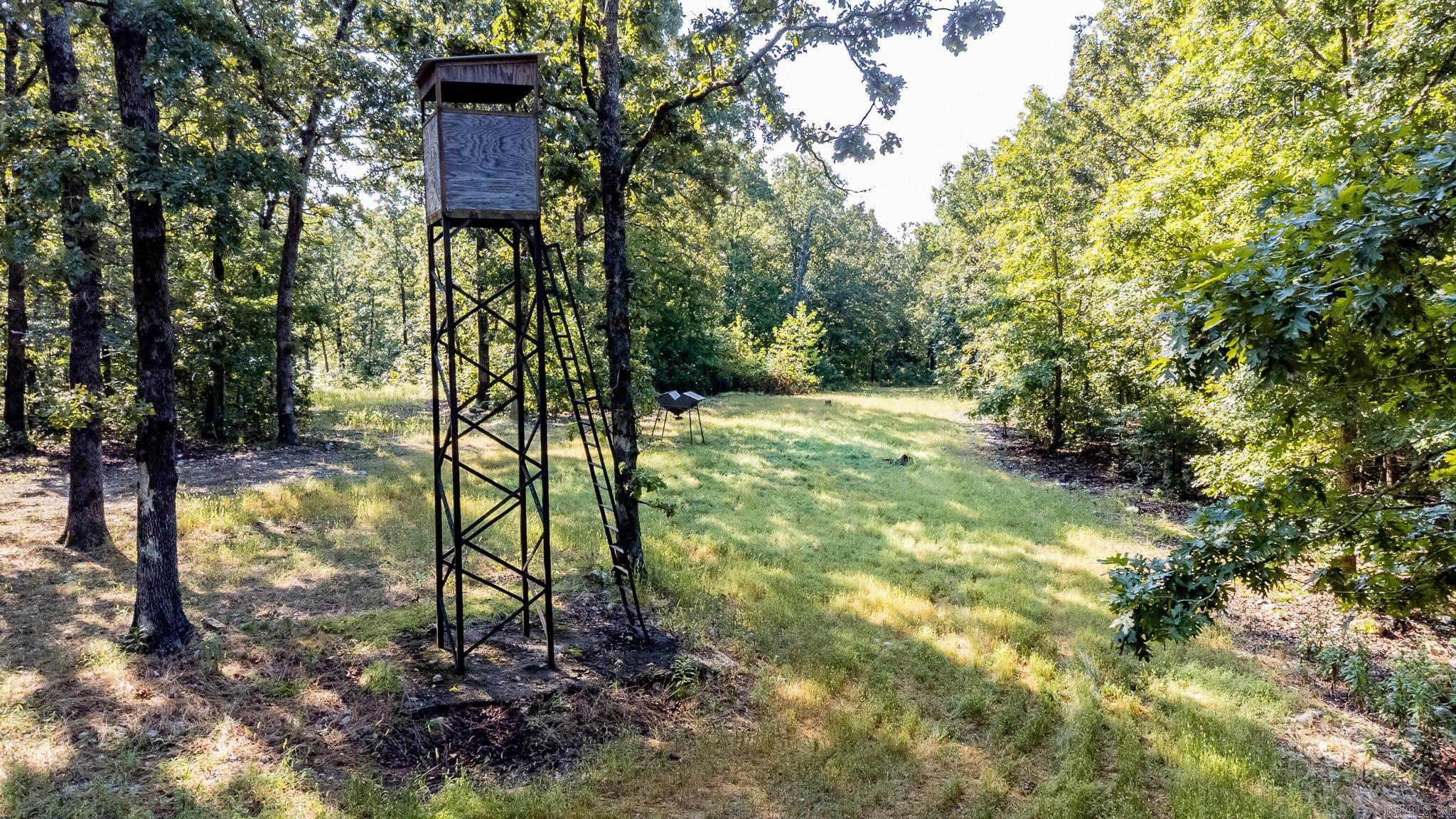 314 Bear Bluff Trail  Ravenden, AR