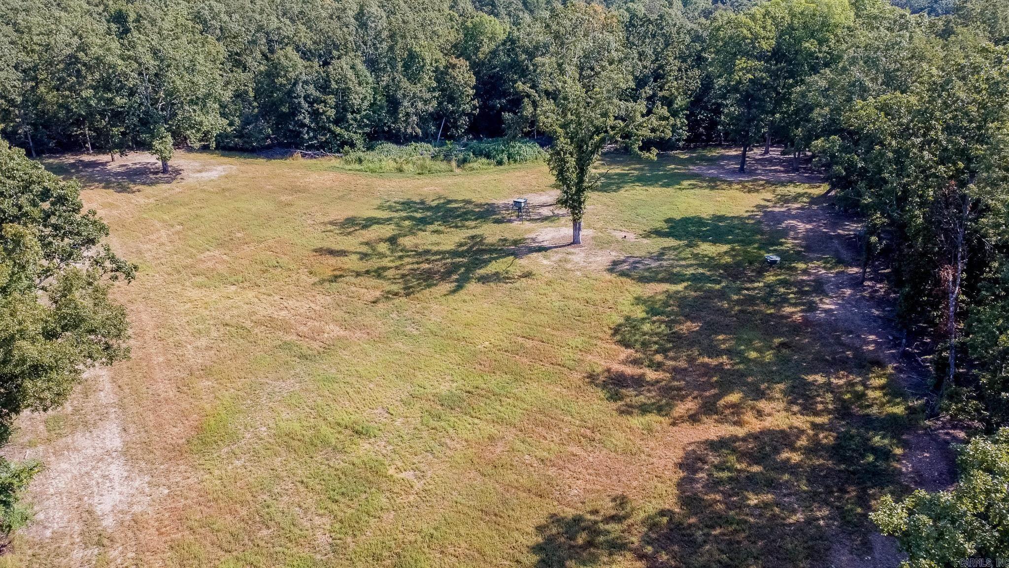 314 Bear Bluff Trail  Ravenden, AR