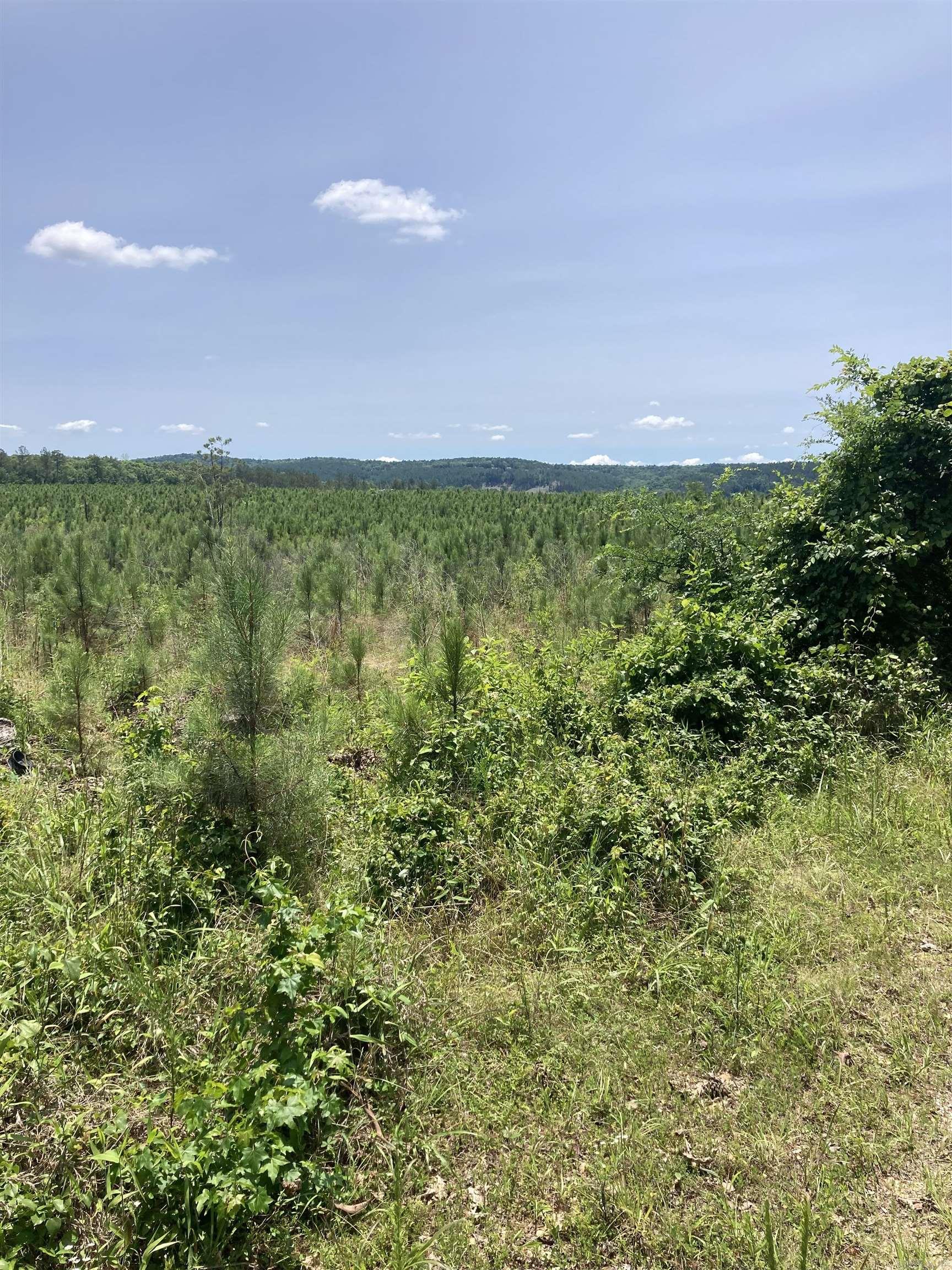 1402 BLOCK OF Beaudry  Jessieville, AR