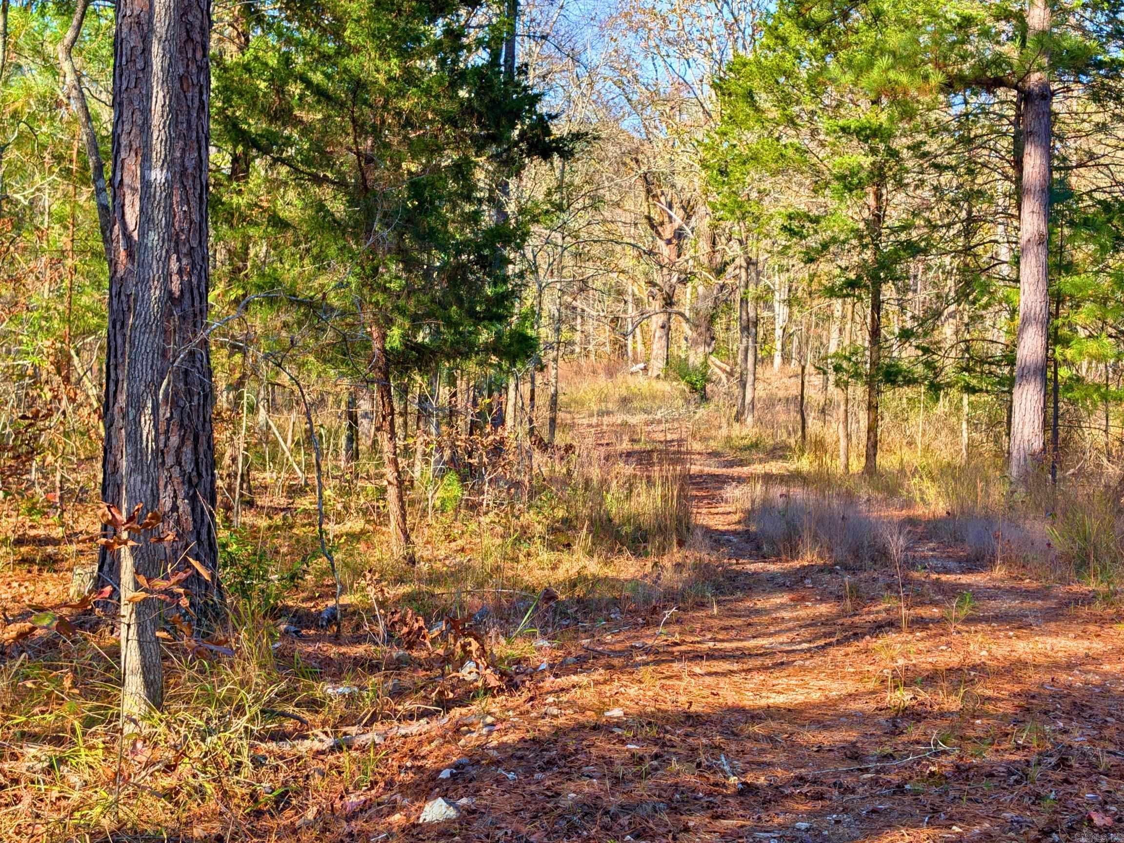 4200 Block of HWY 298  Jessieville, AR