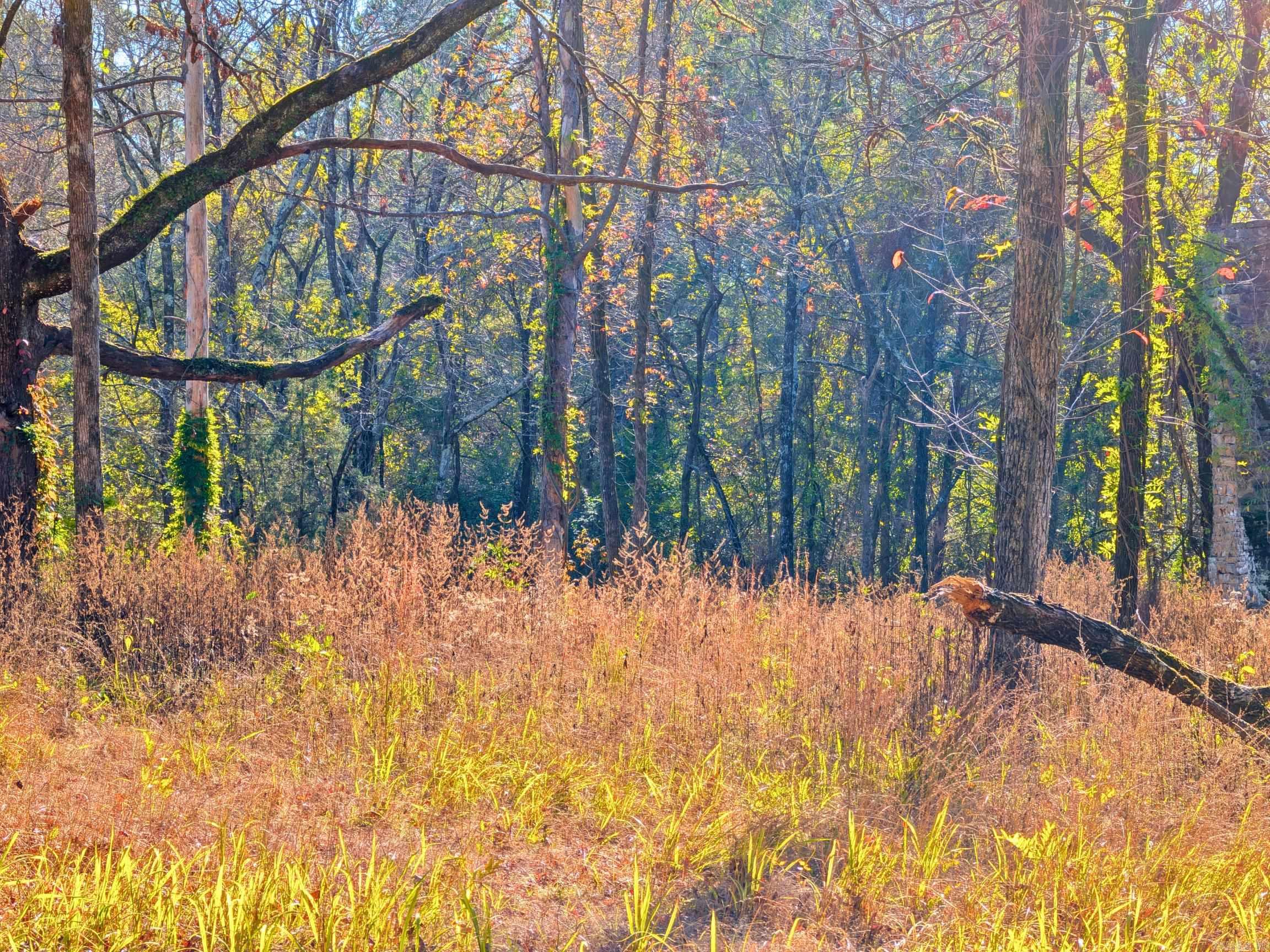 4200 Block of HWY 298  Jessieville, AR