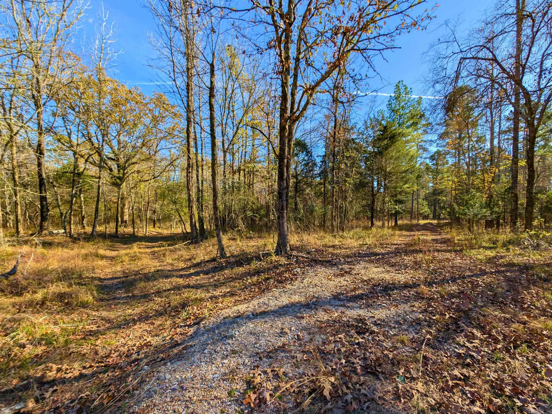 4200 Block of HWY 298  Jessieville, AR