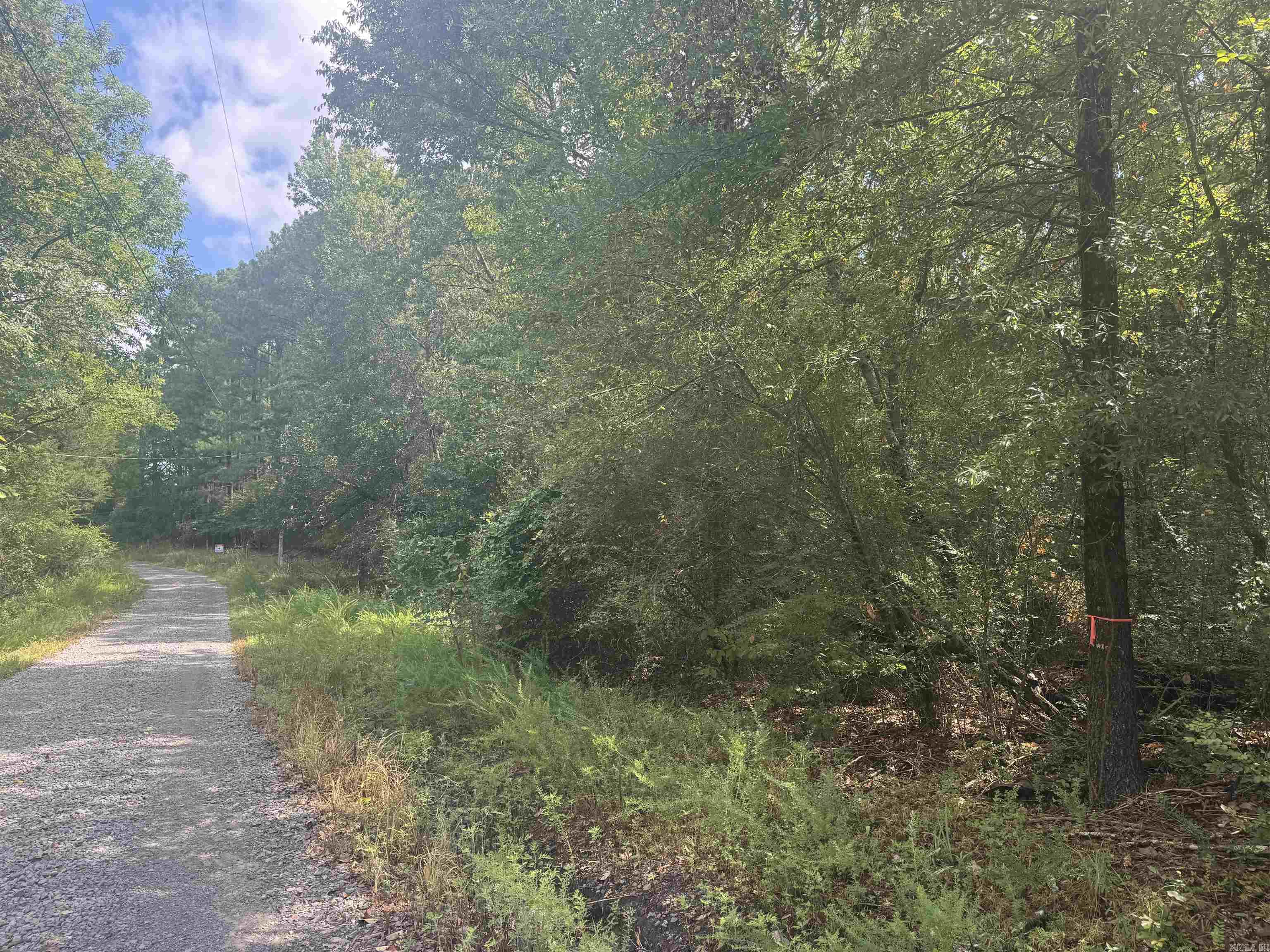 0 Briarwood Ln.  Greenbrier, AR
