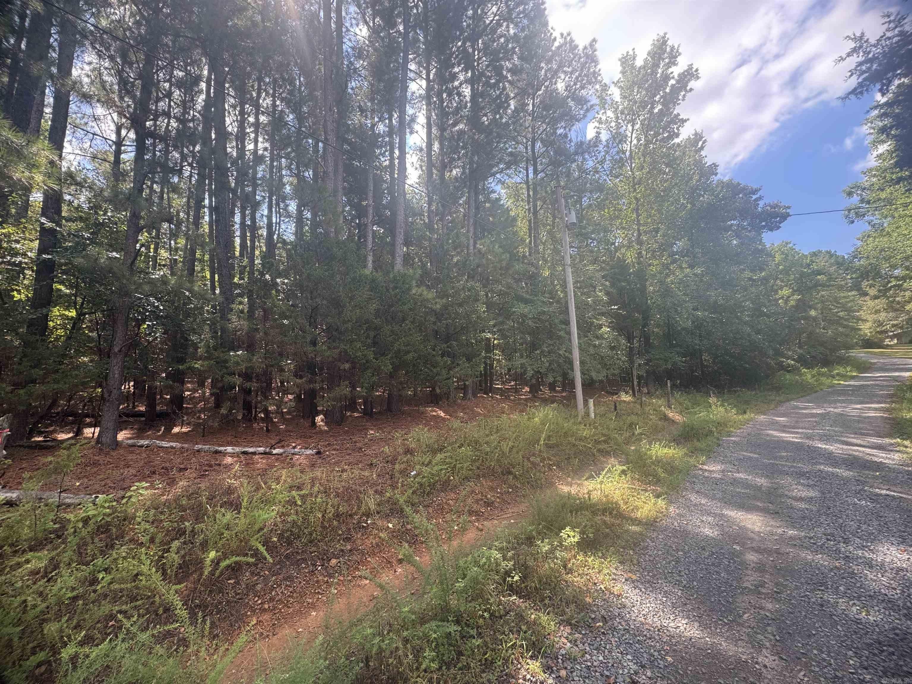 0 Briarwood Ln.  Greenbrier, AR
