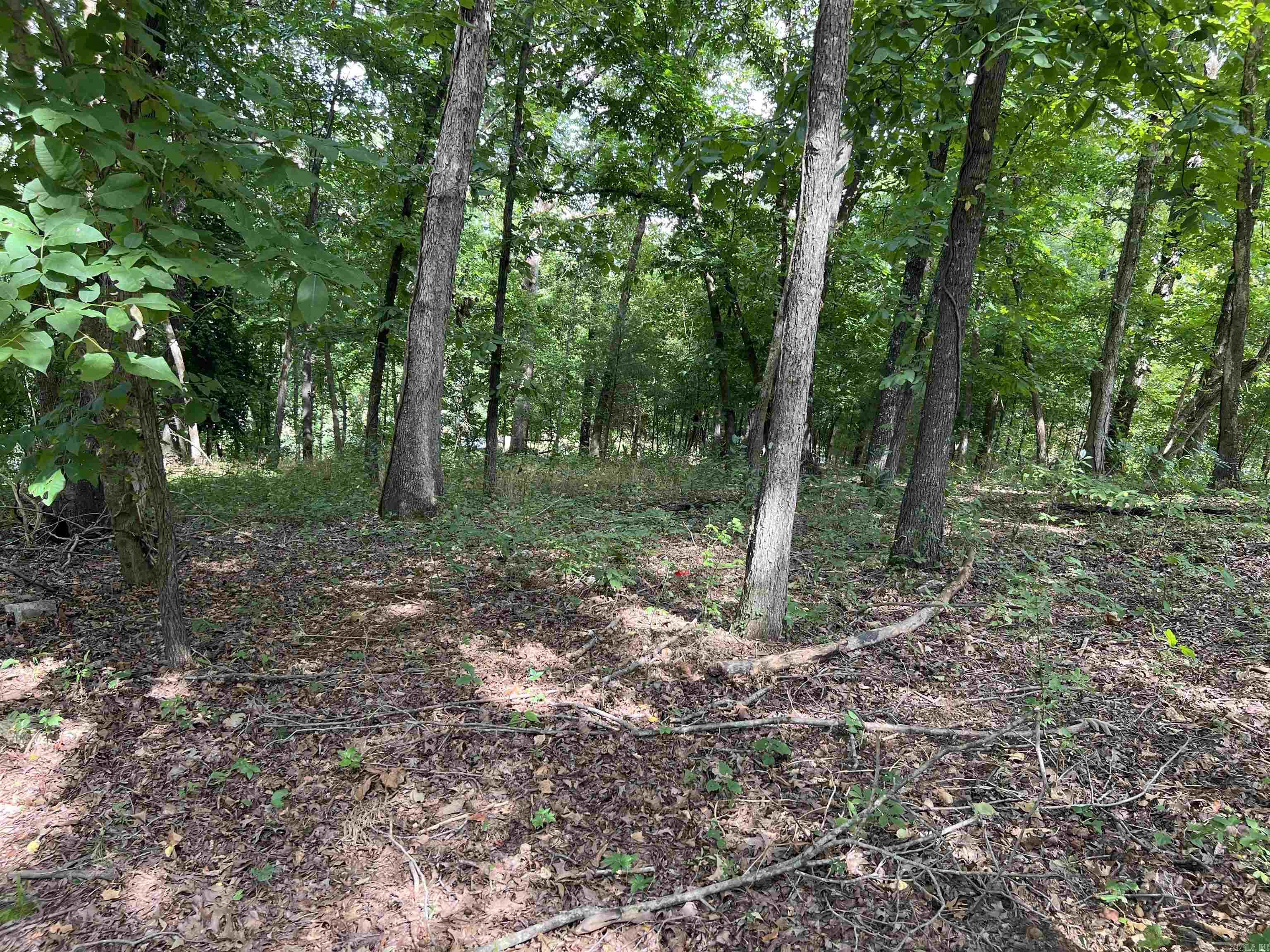 000 Riverbend Road  Mammoth Spring, AR