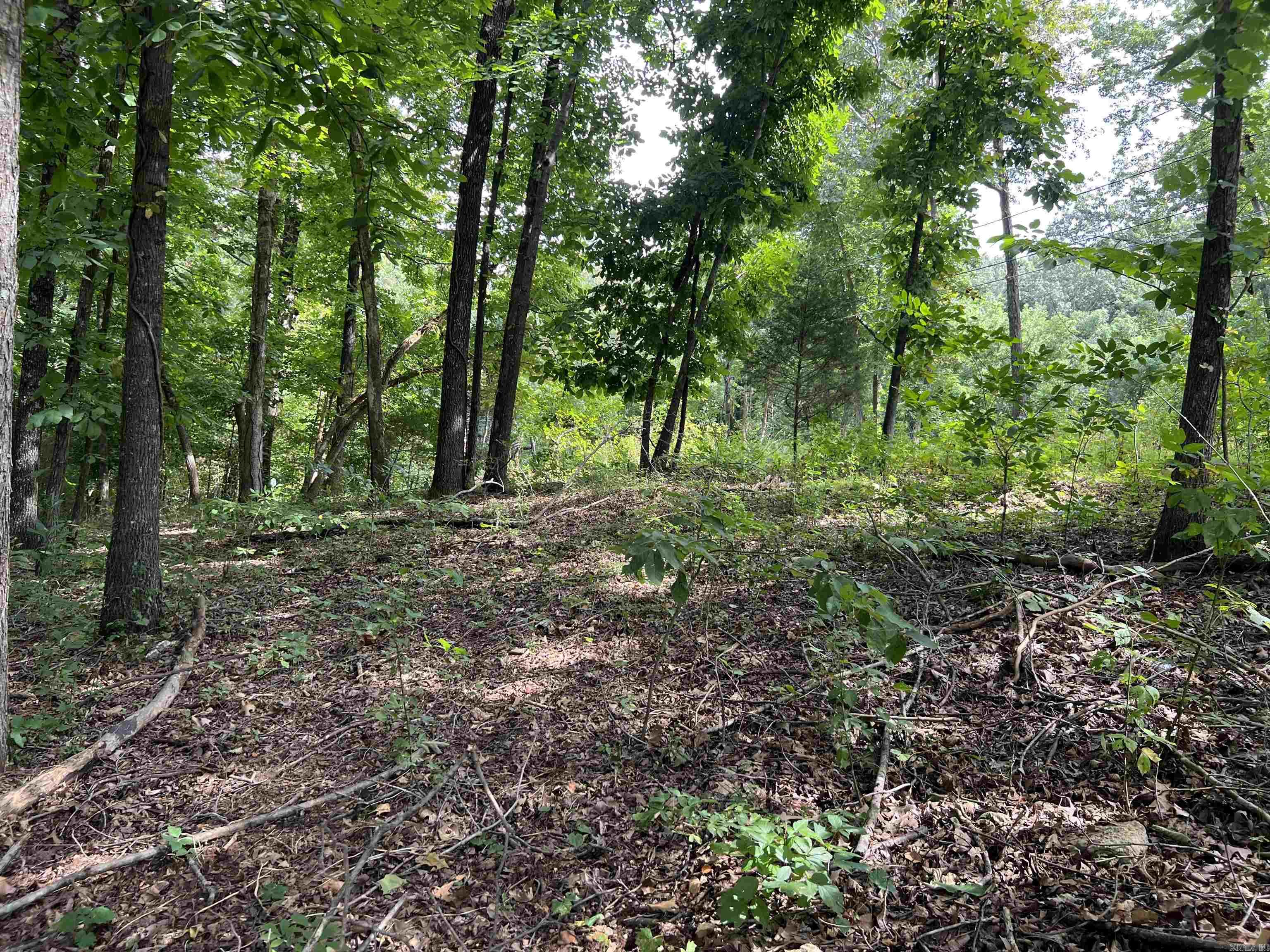 000 Riverbend Road  Mammoth Spring, AR