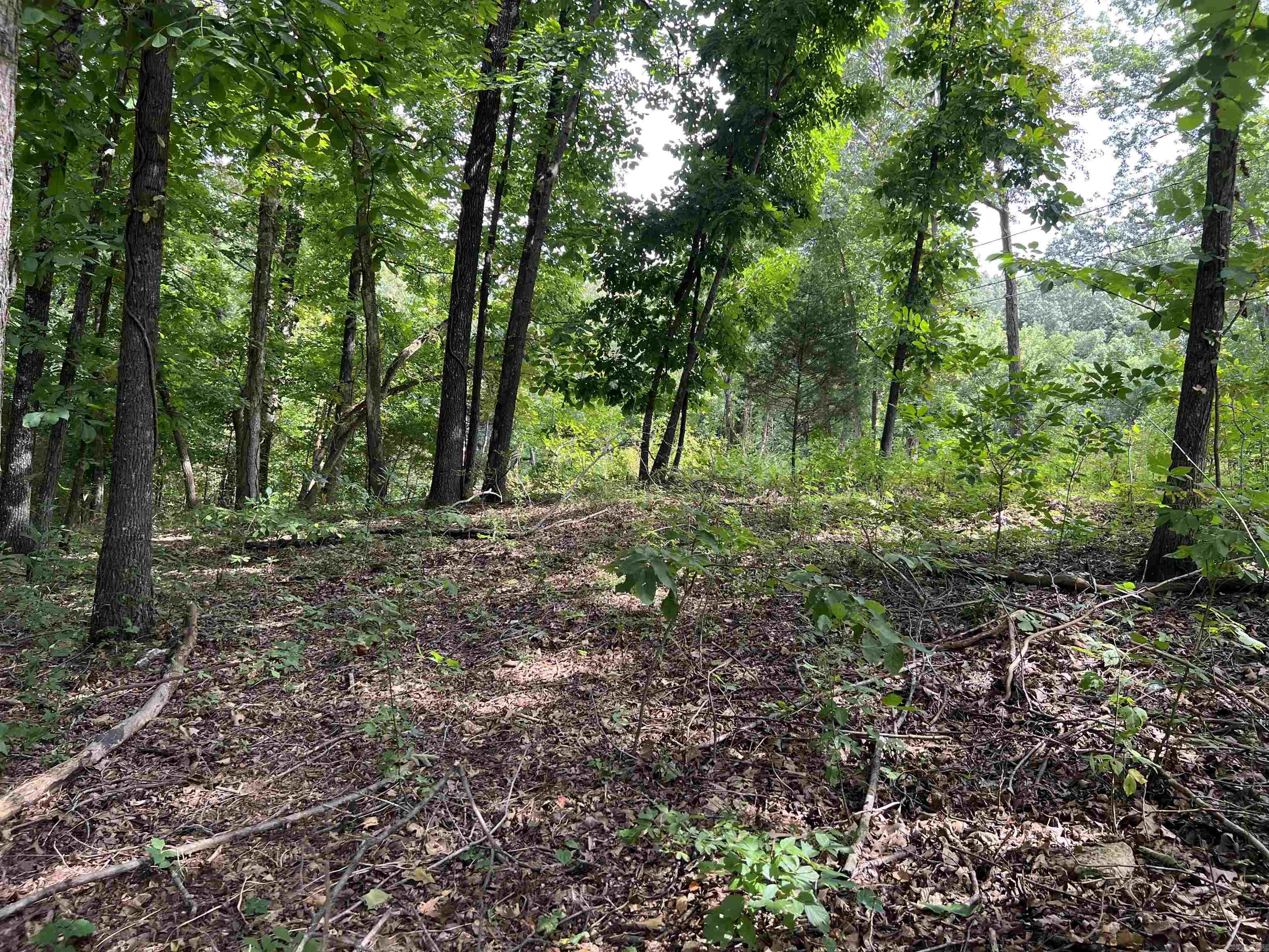 000 Riverbend Road  Mammoth Spring, AR