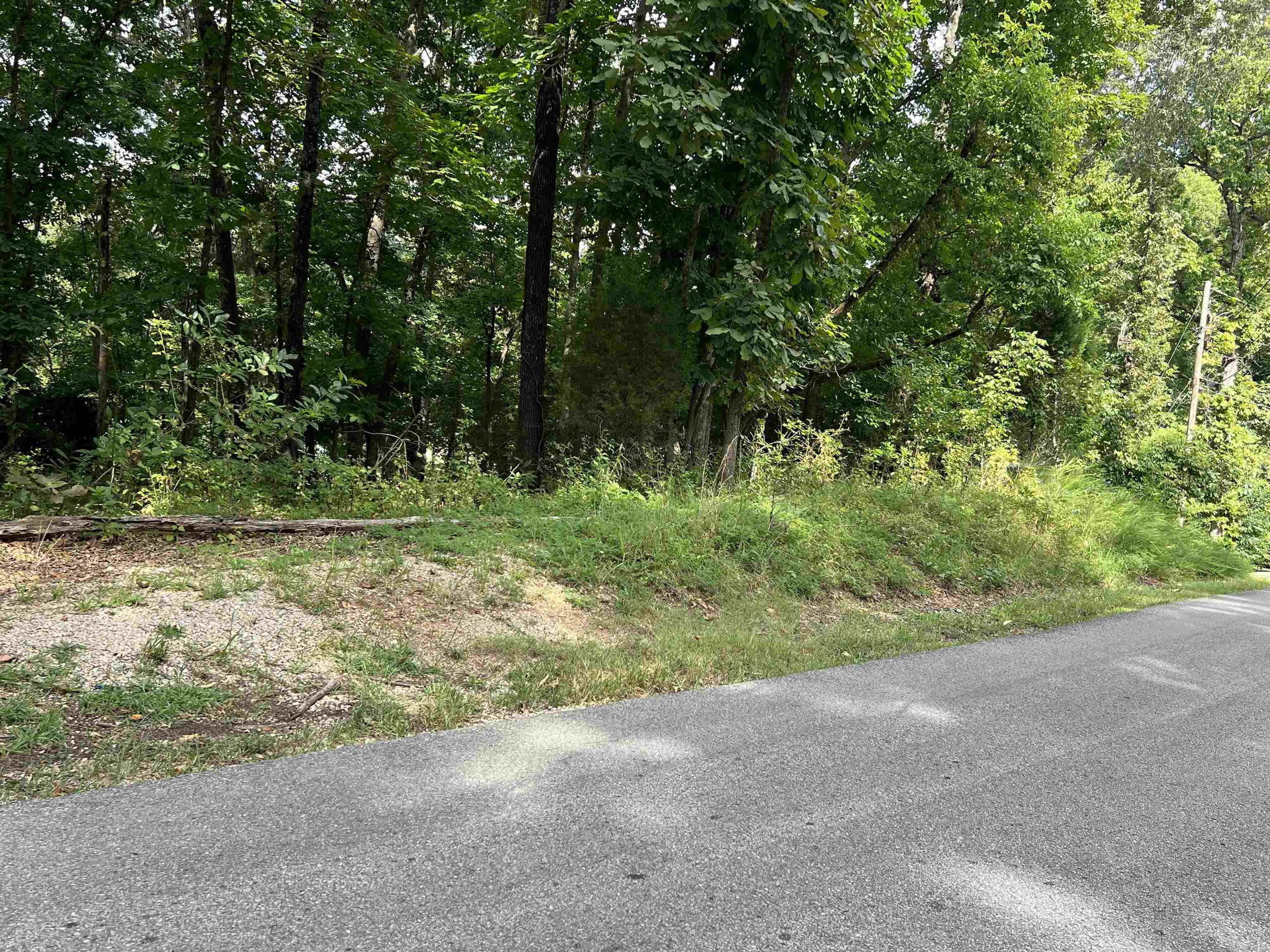 000 Riverbend Road  Mammoth Spring, AR