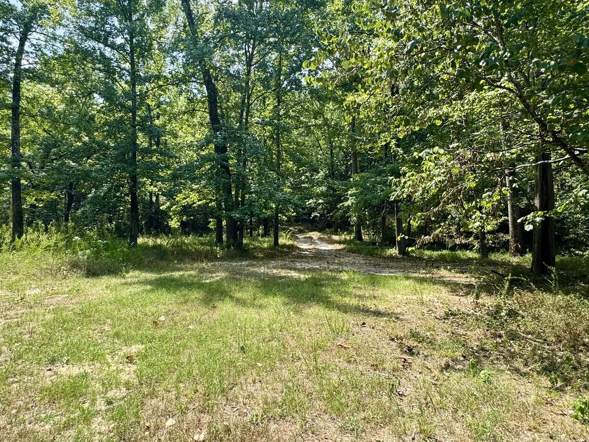 65 AR 5 HWY  Calico Rock, AR