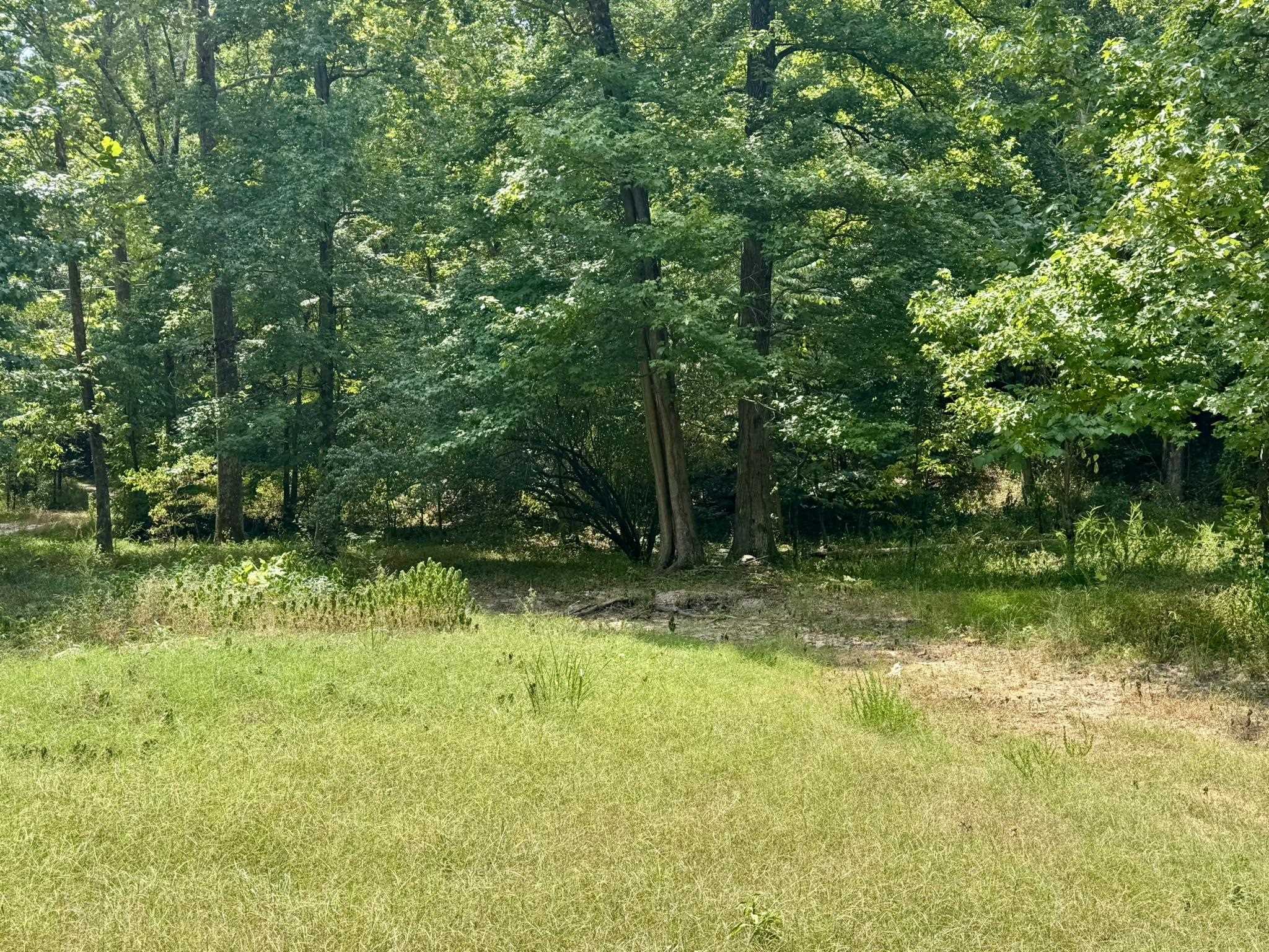 65 AR 5 HWY  Calico Rock, AR