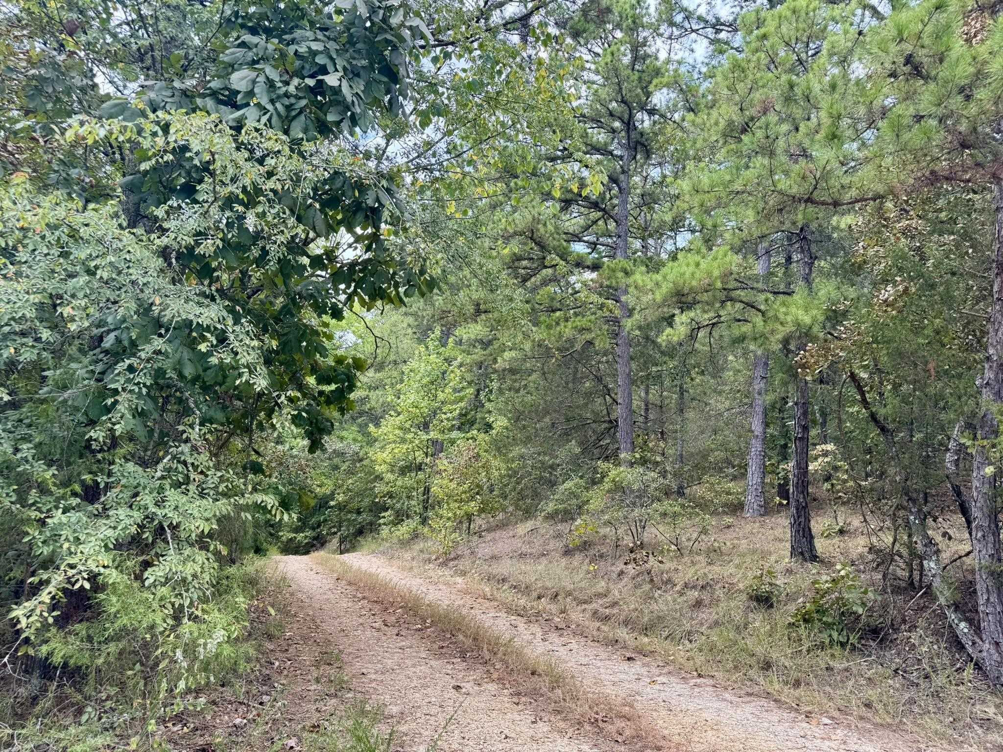 65 AR 5 HWY  Calico Rock, AR