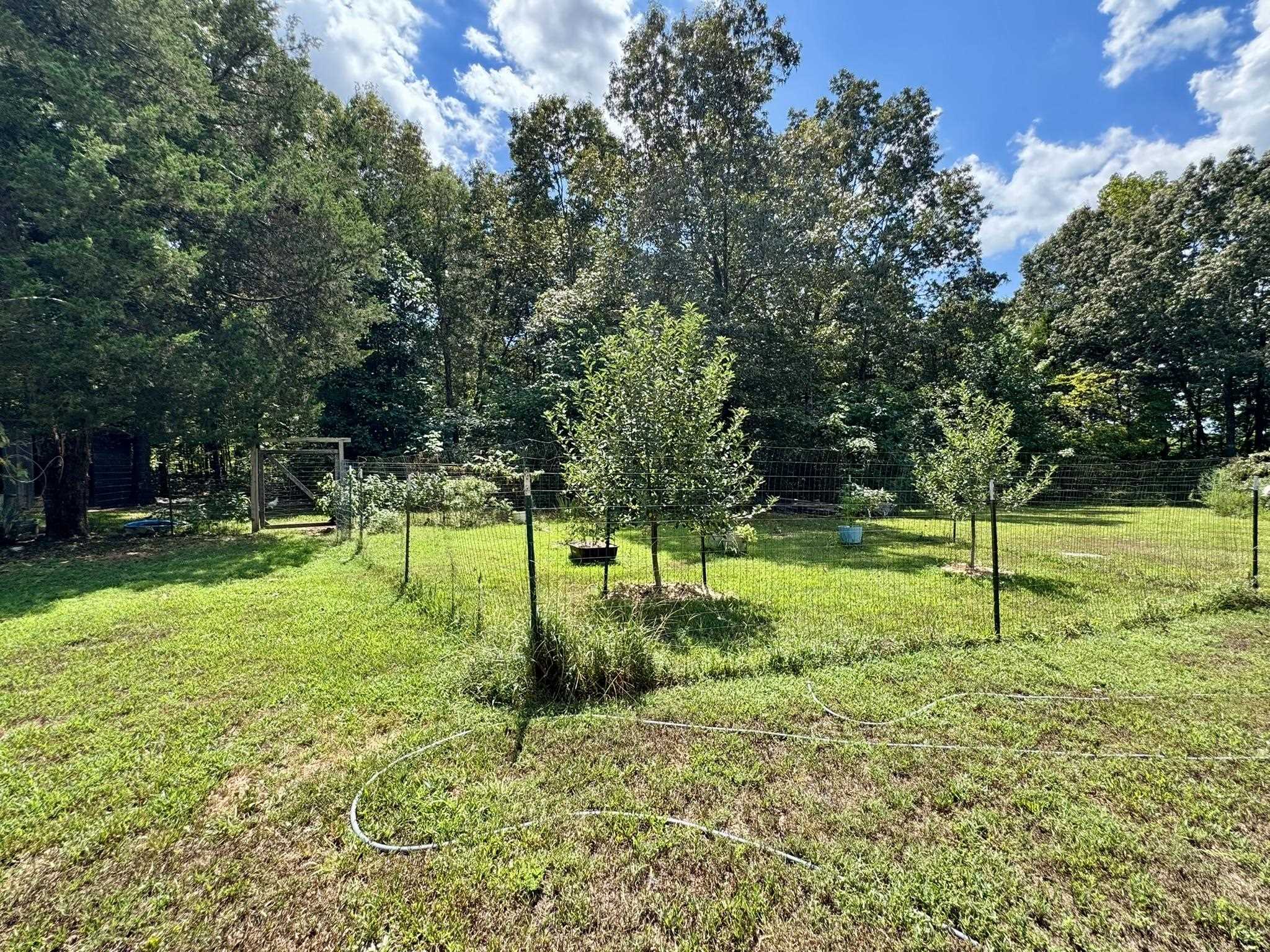 170 S Caney Springs Road  Melbourne, AR