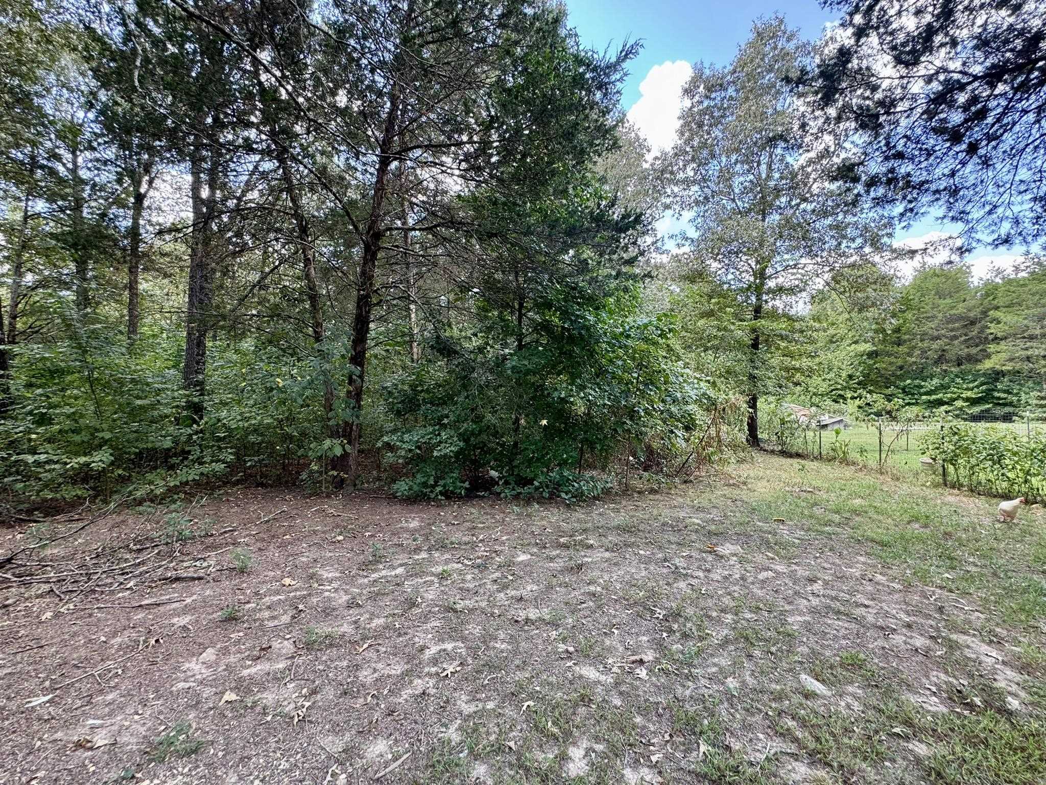 170 S Caney Springs Road  Melbourne, AR