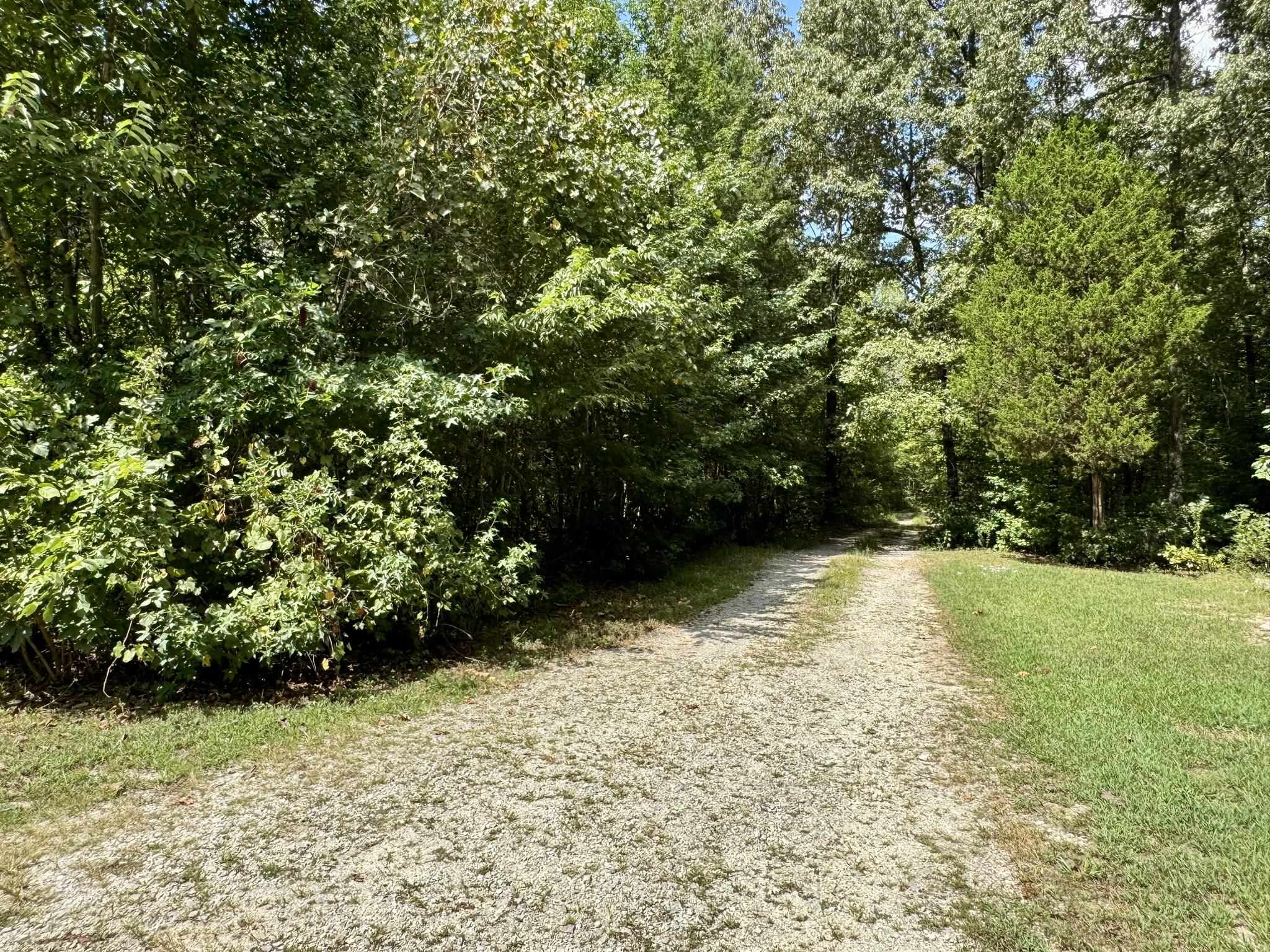 170 S Caney Springs Road  Melbourne, AR