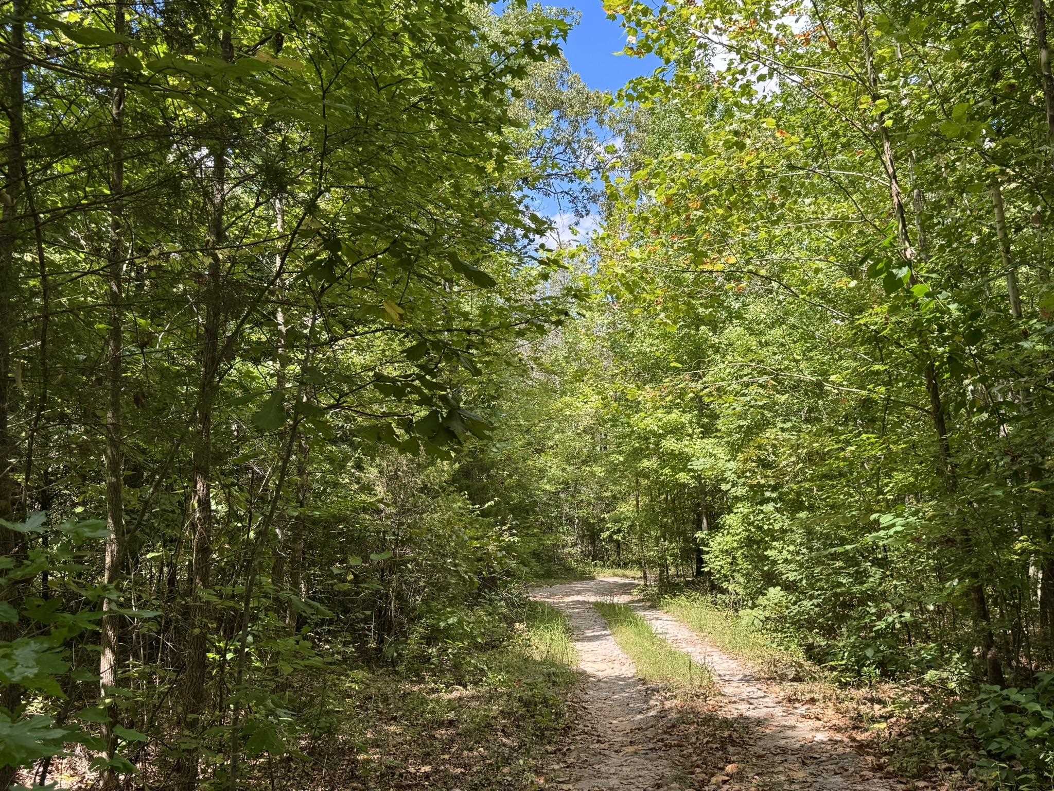 170 S Caney Springs Road  Melbourne, AR