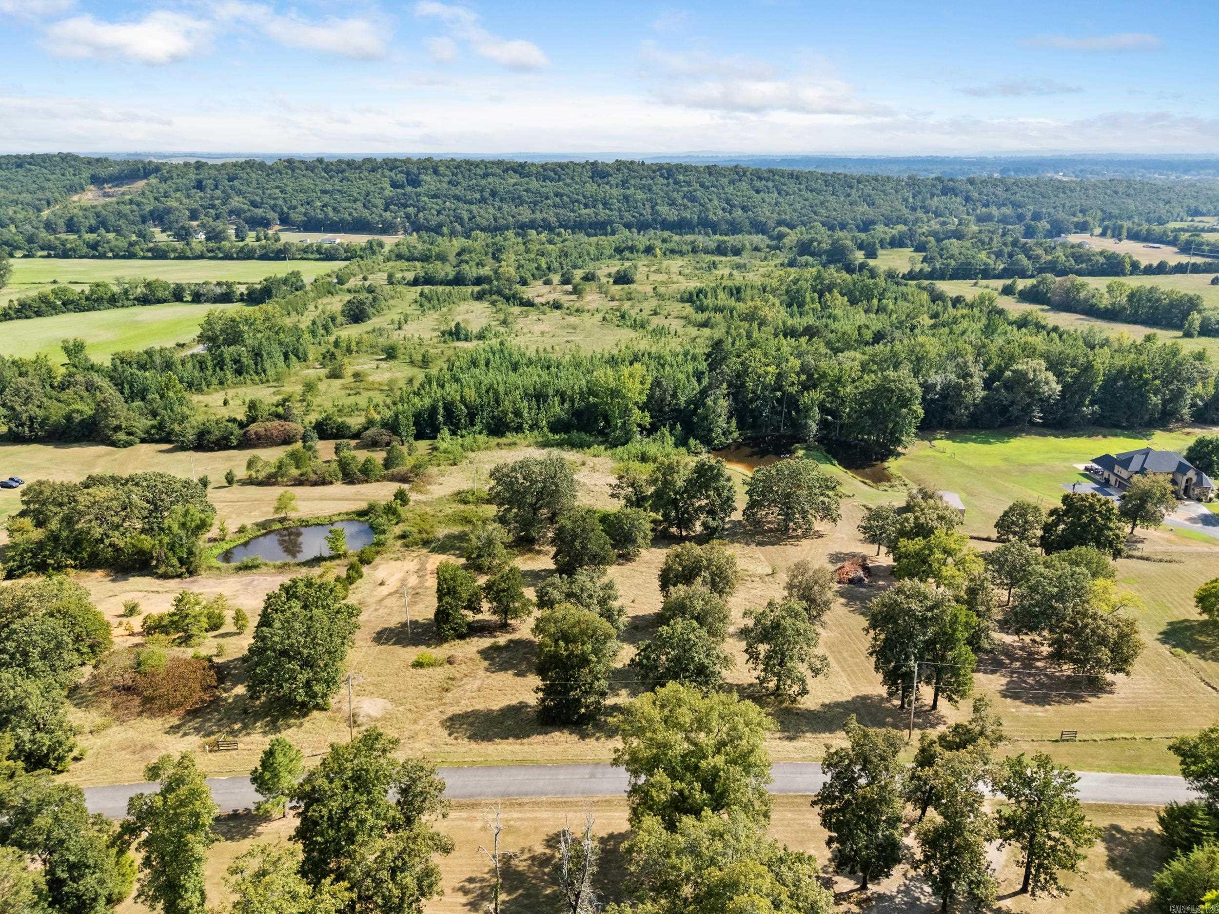 114 Castlepines  Greenbrier, AR