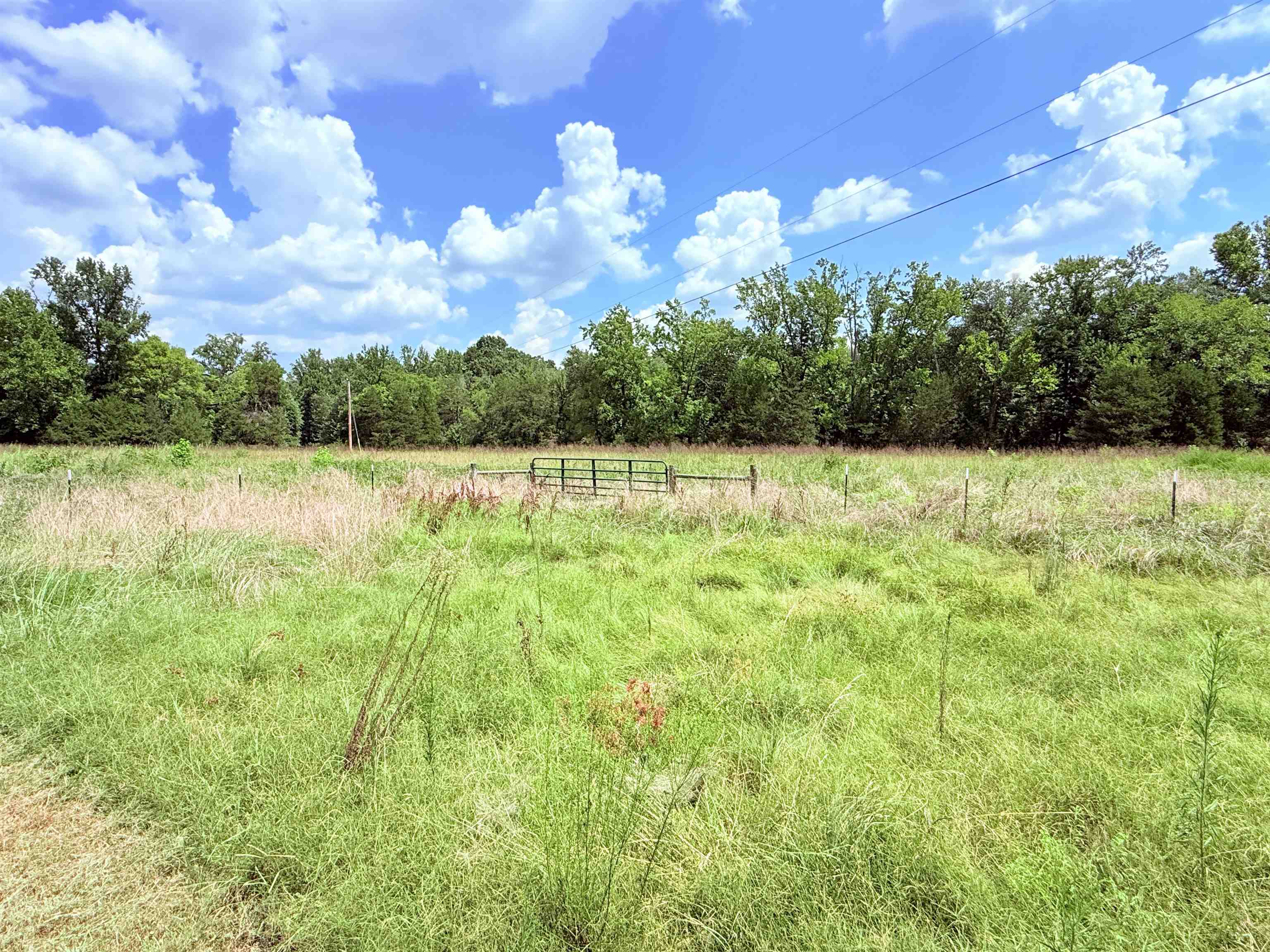 5023 Knob Creek Road  Melbourne, AR