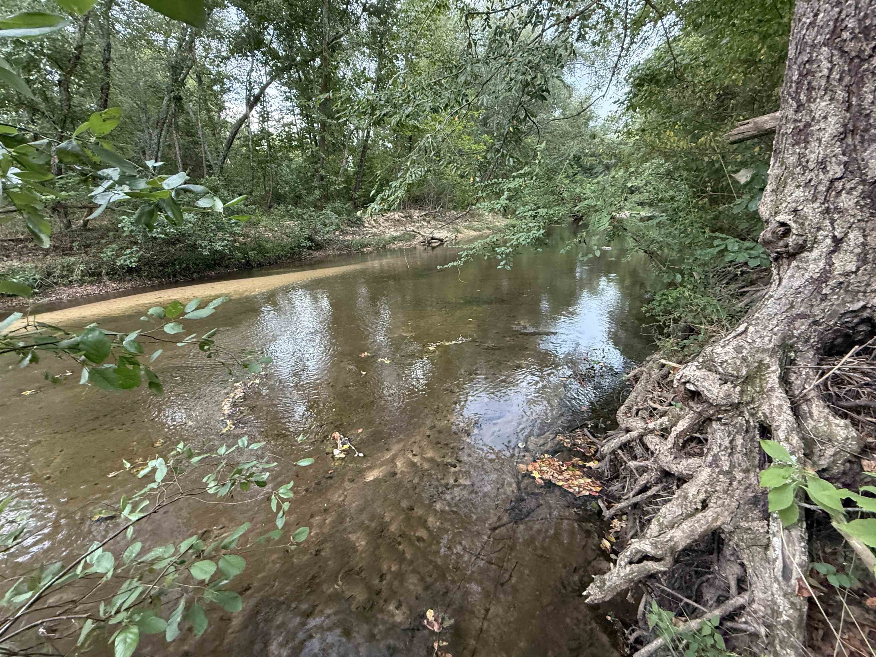5023 Knob Creek Road  Melbourne, AR