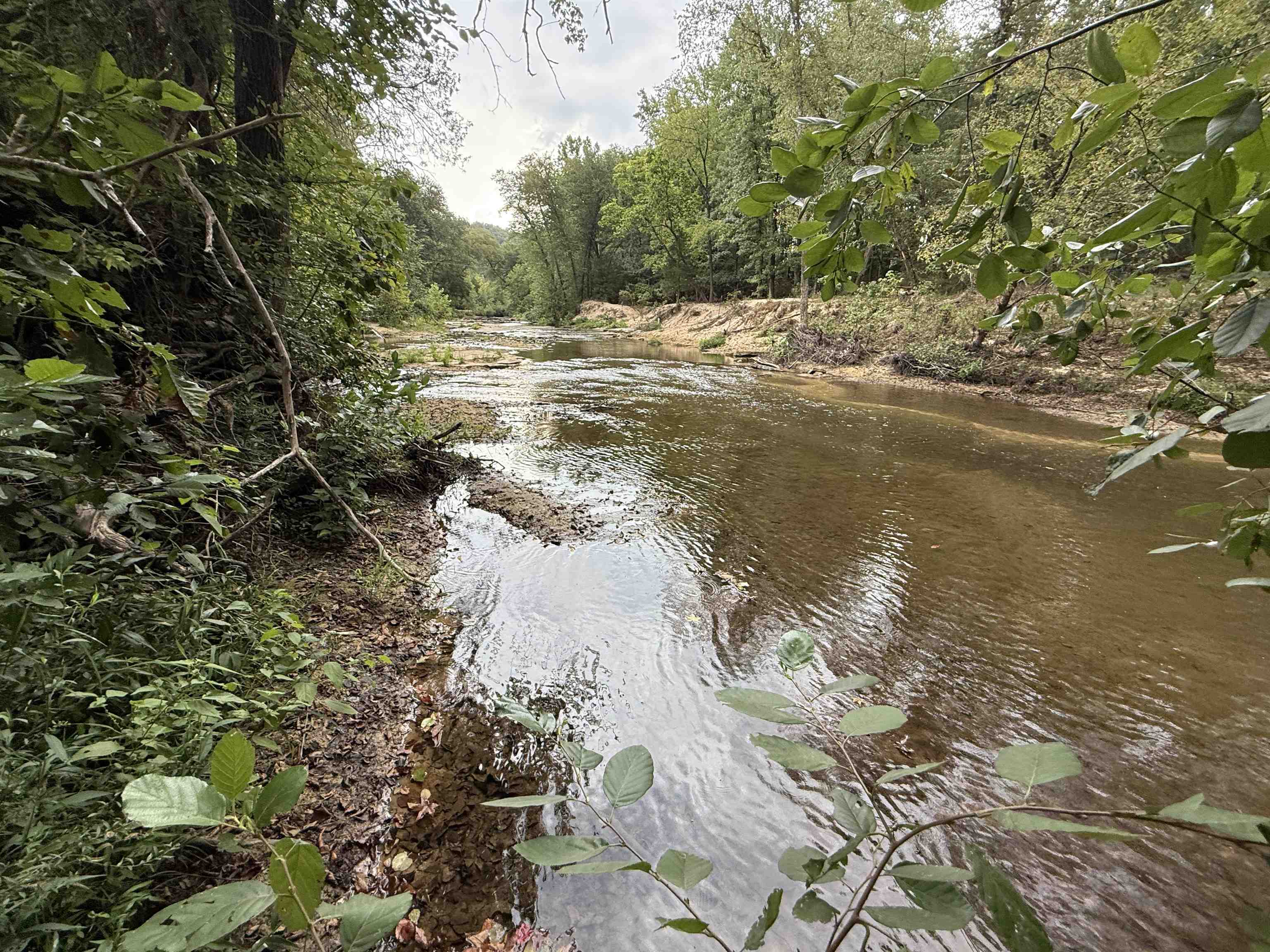 5023 Knob Creek Road  Melbourne, AR