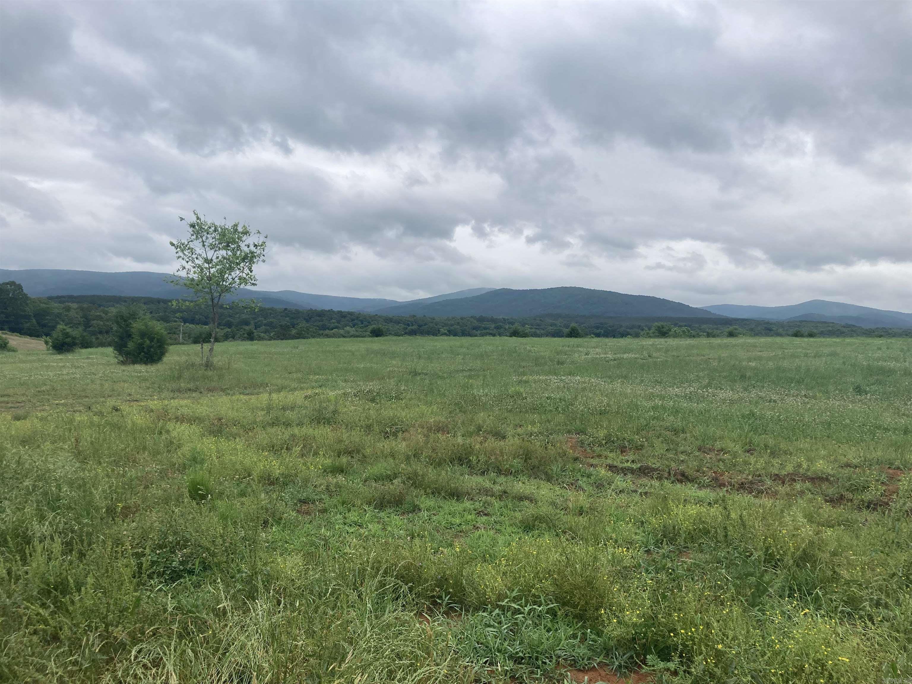 TBD. 70 acres Polk Road 85  Mena, AR