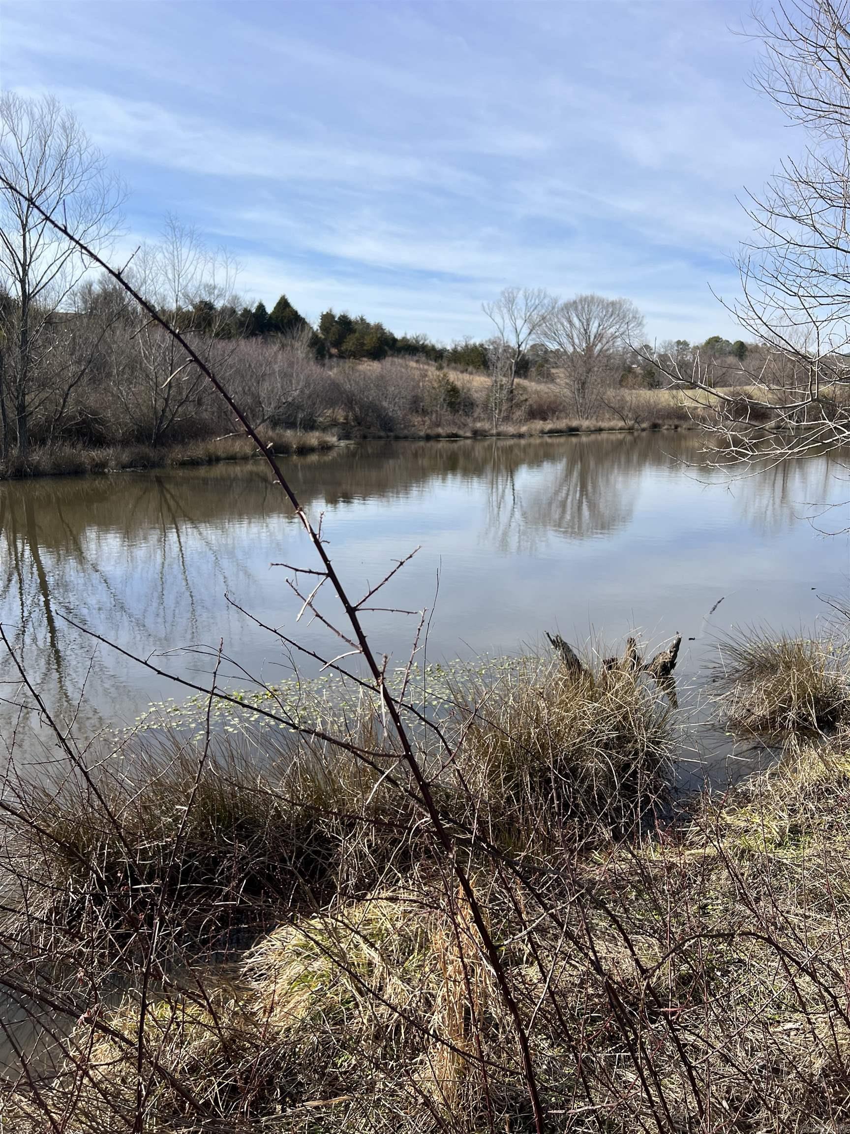 TBD. 70 acres Polk Road 85  Mena, AR
