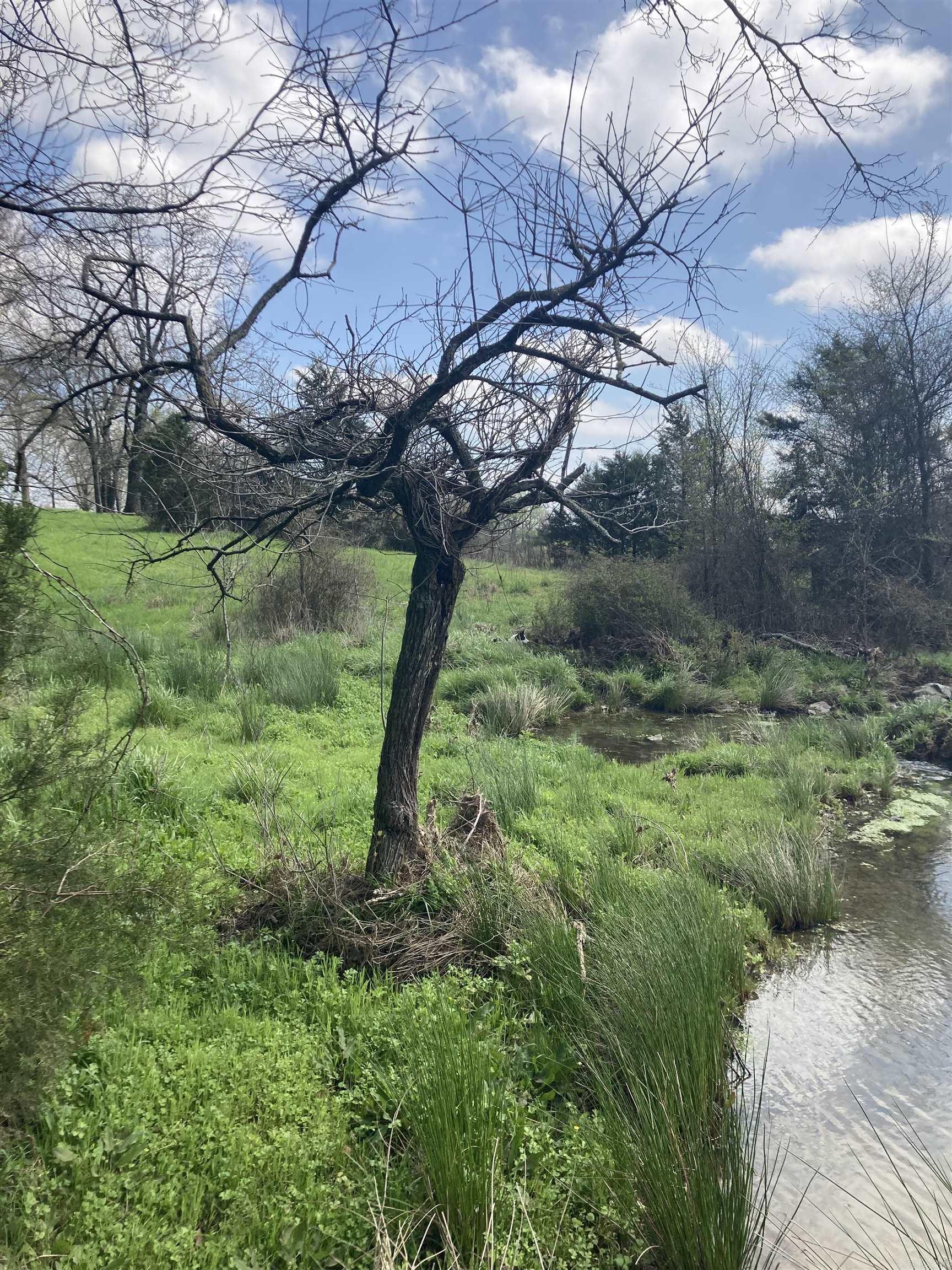 TBD. 70 acres Polk Road 85  Mena, AR