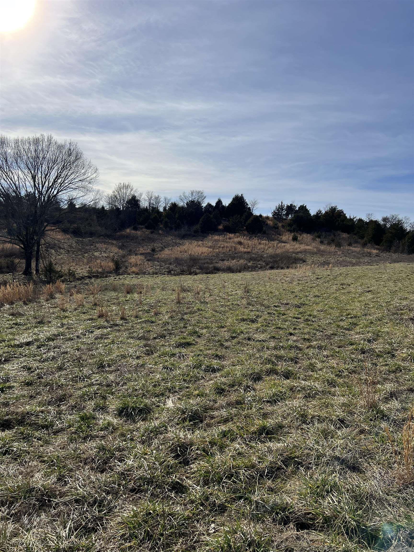 TBD. 70 acres Polk Road 85  Mena, AR