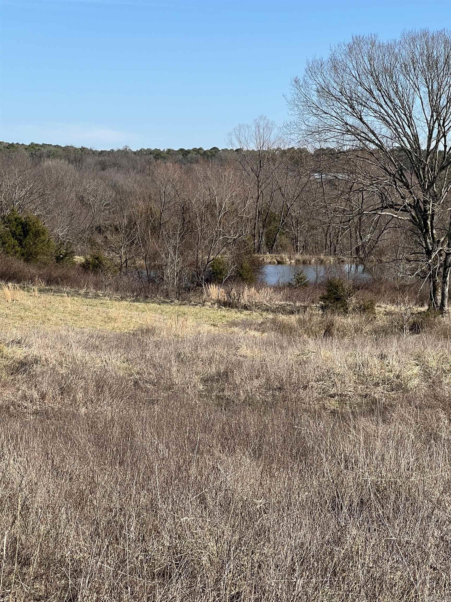 TBD. 70 acres Polk Road 85  Mena, AR