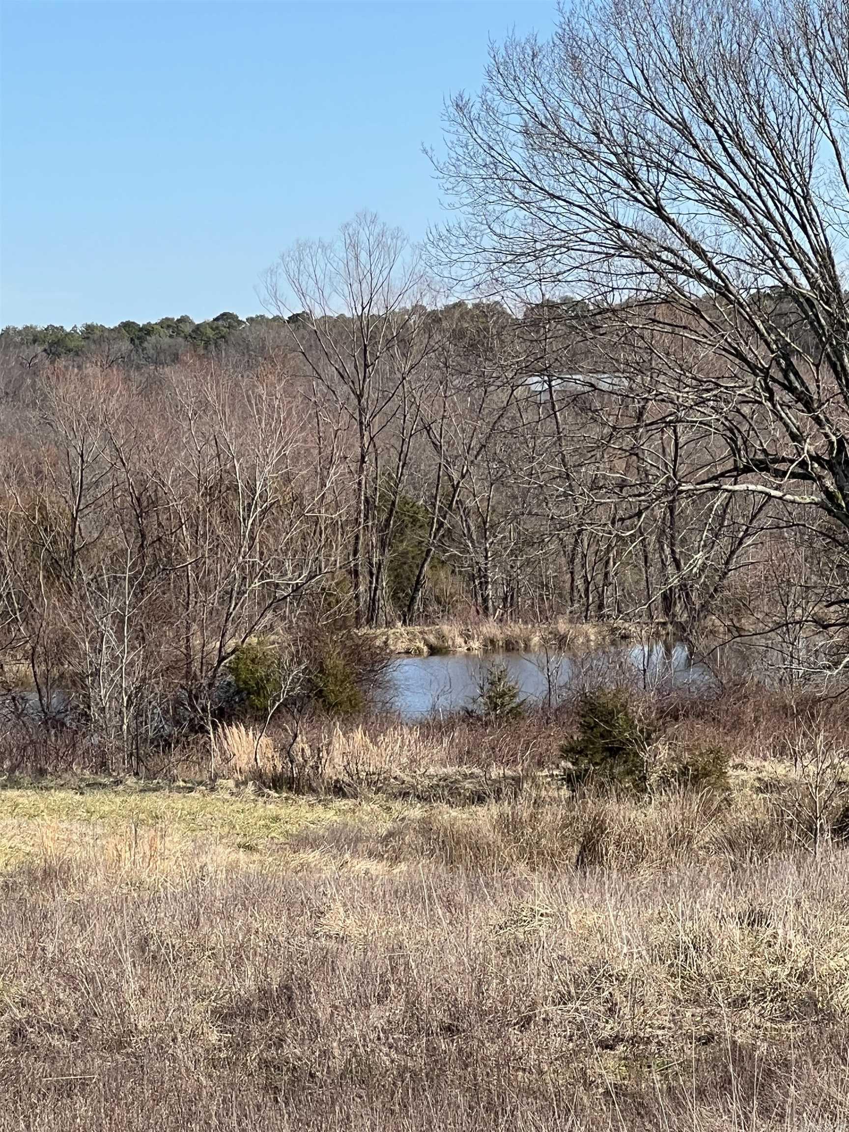 TBD. 70 acres Polk Road 85  Mena, AR