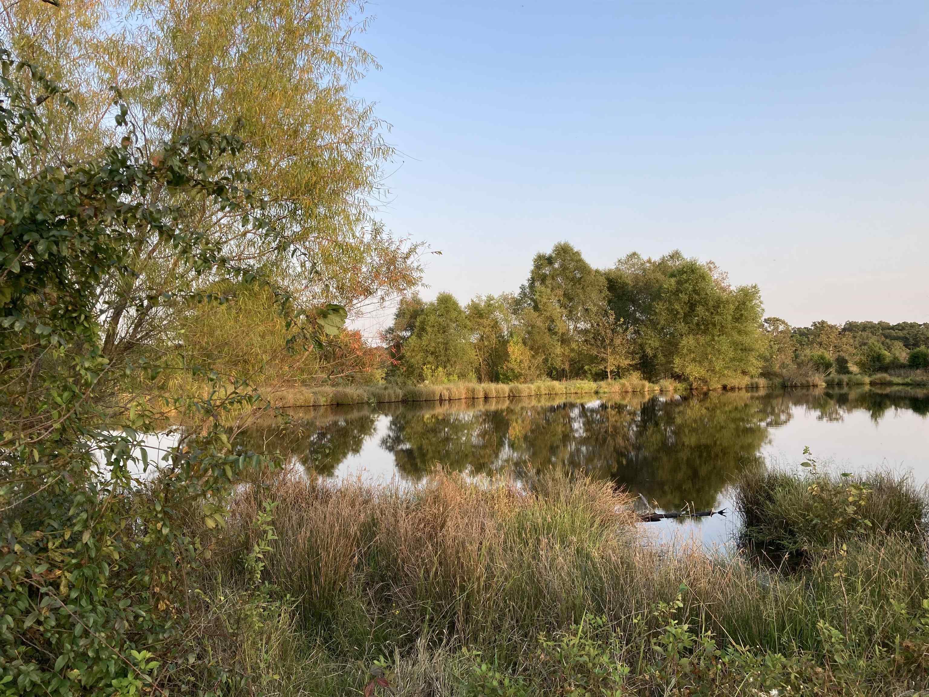TBD. 70 acres Polk Road 85  Mena, AR