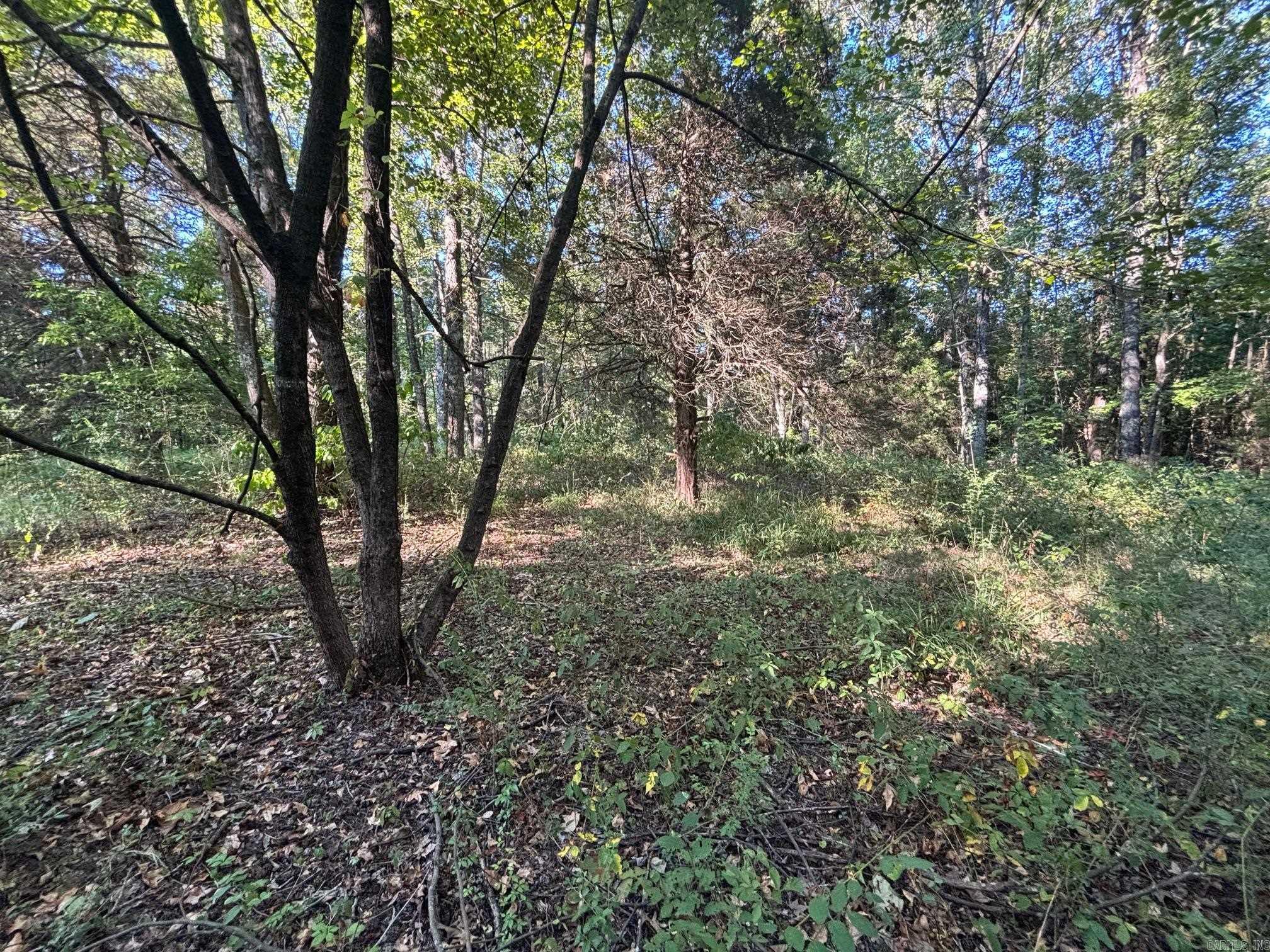 183 J and J  Austin, AR