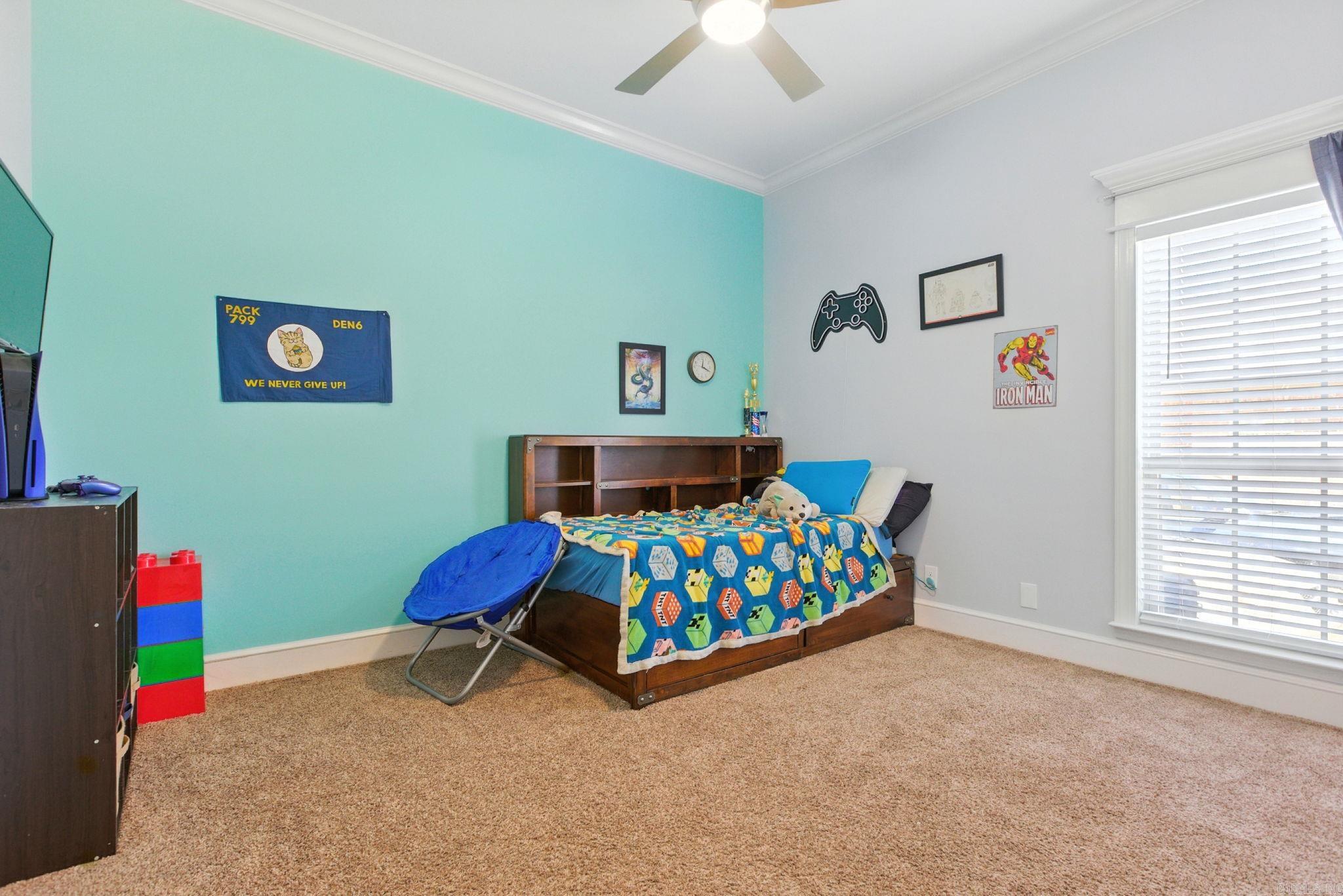 44 Shadow Creek Cir  Austin, AR