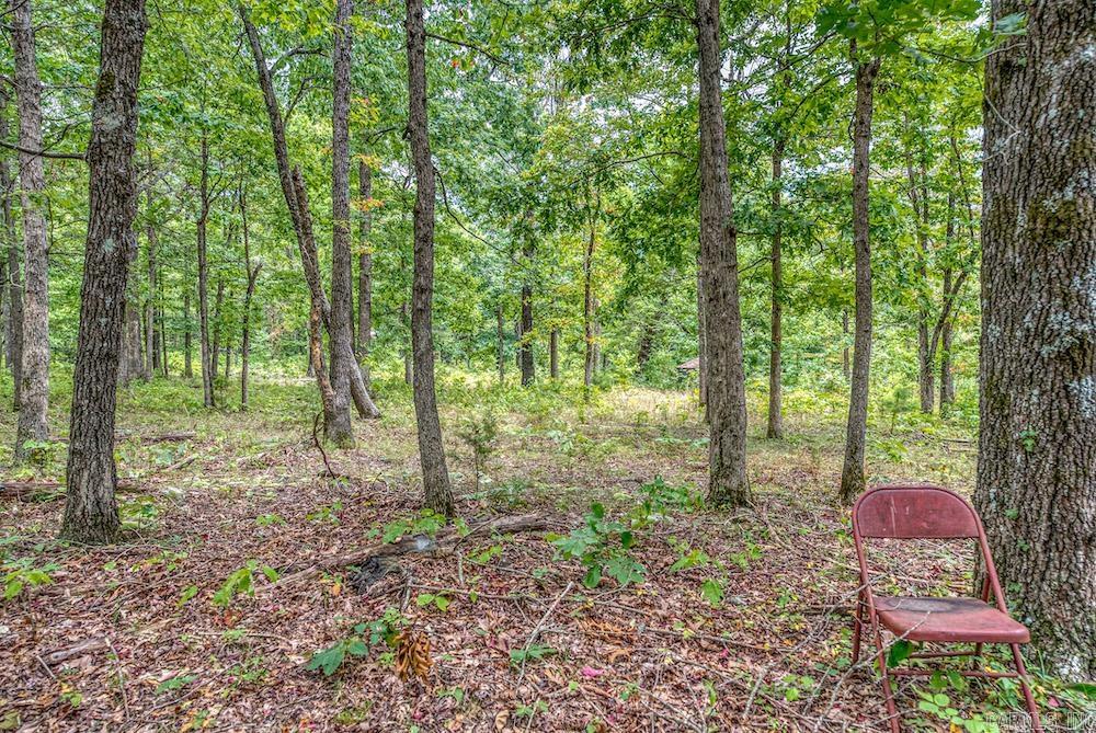 396 August Farm  Leslie, AR
