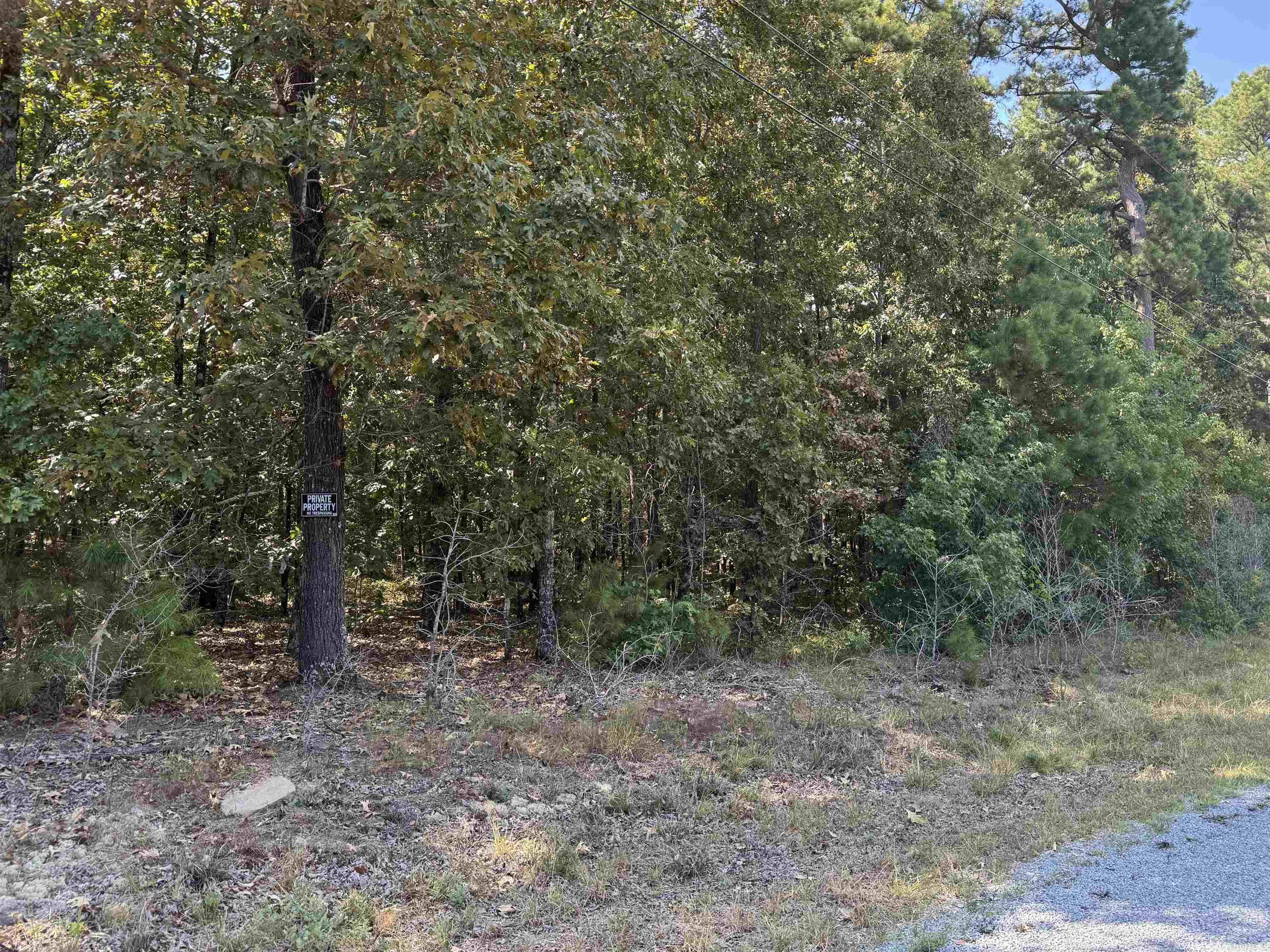 25222 Blue Gill Dr  Roland, AR