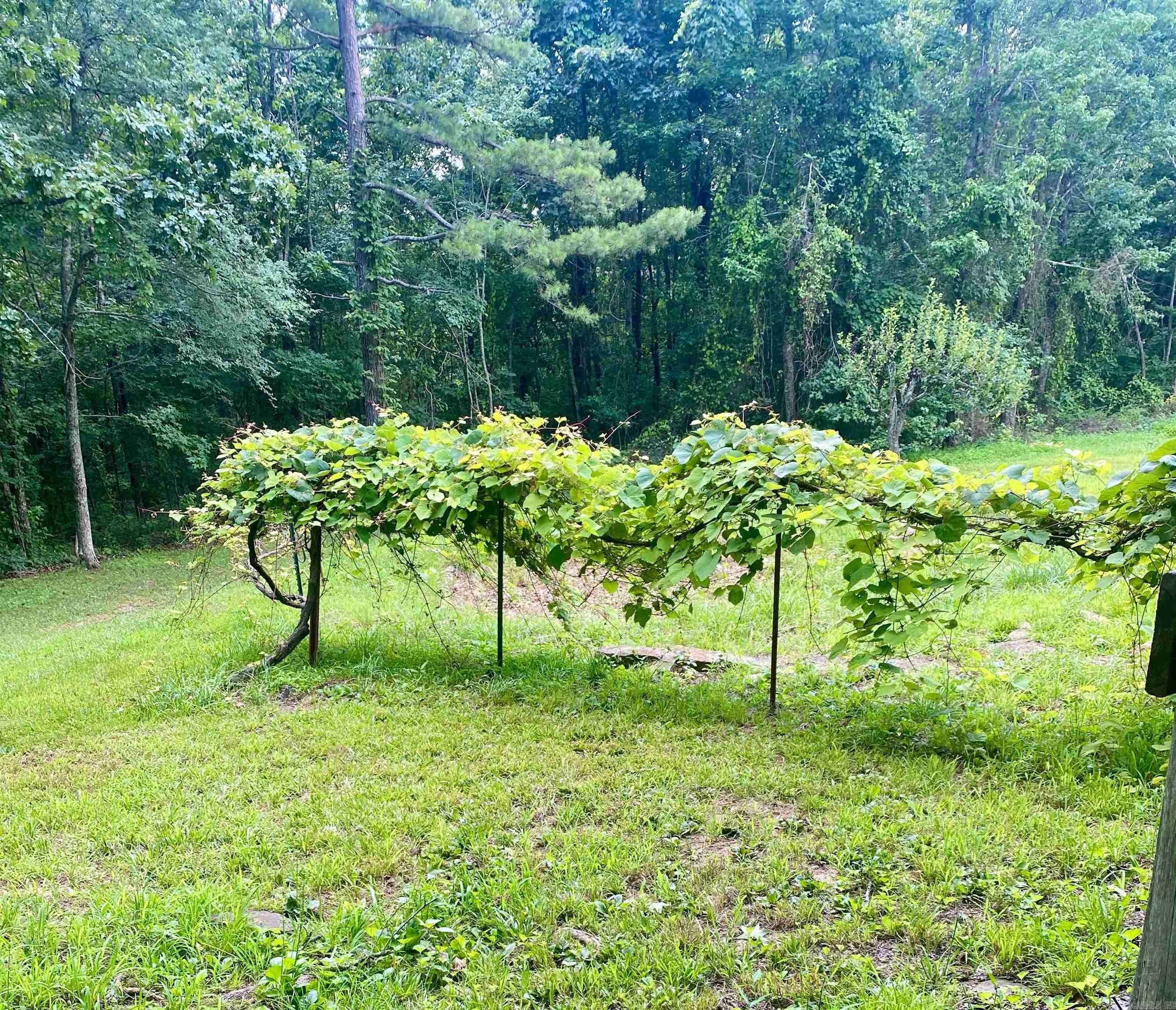 8798 Hwy. 254 E.  Dennard, AR