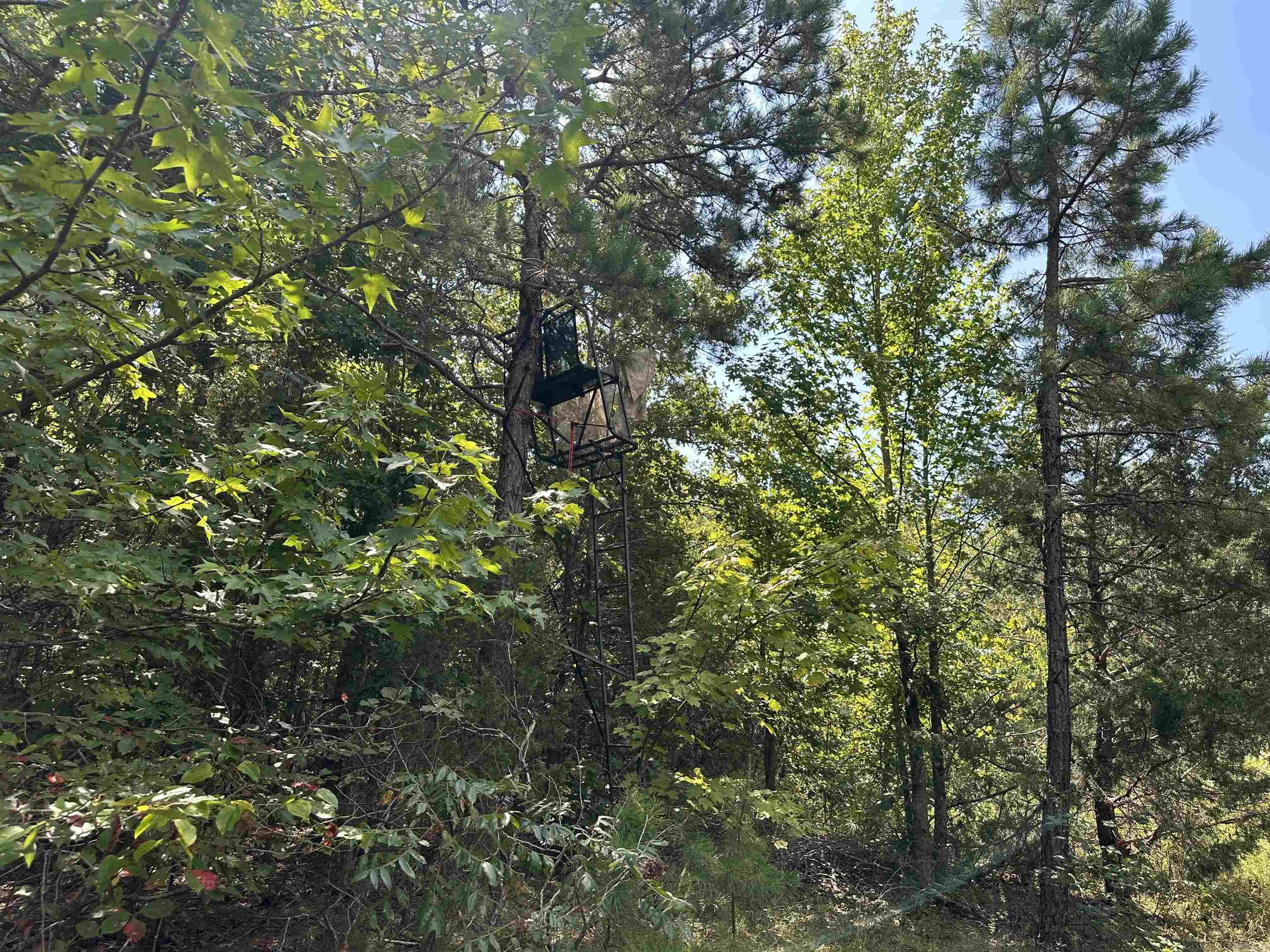 8798 Hwy. 254 E.  Dennard, AR