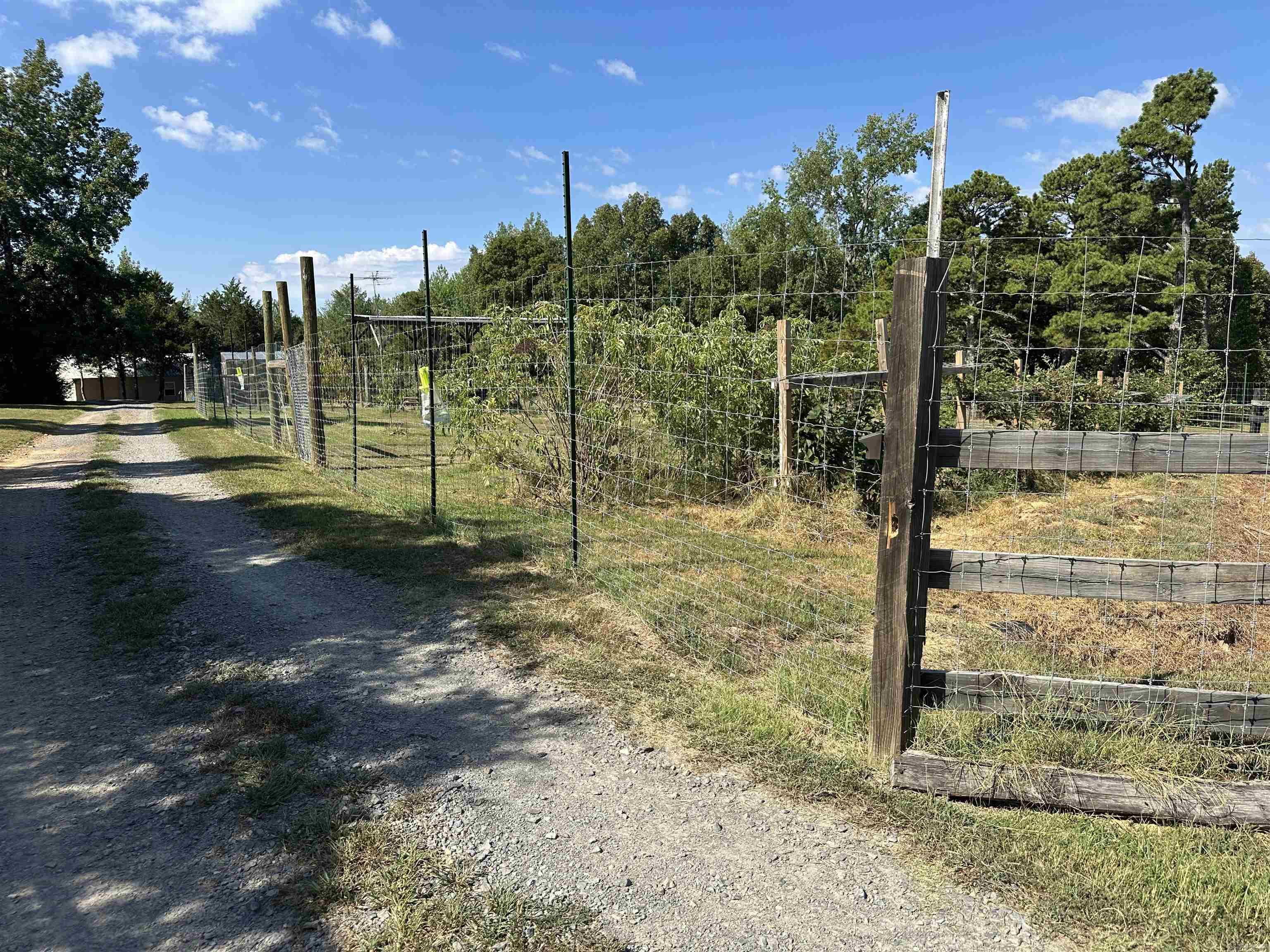 8798 Hwy. 254 E.  Dennard, AR