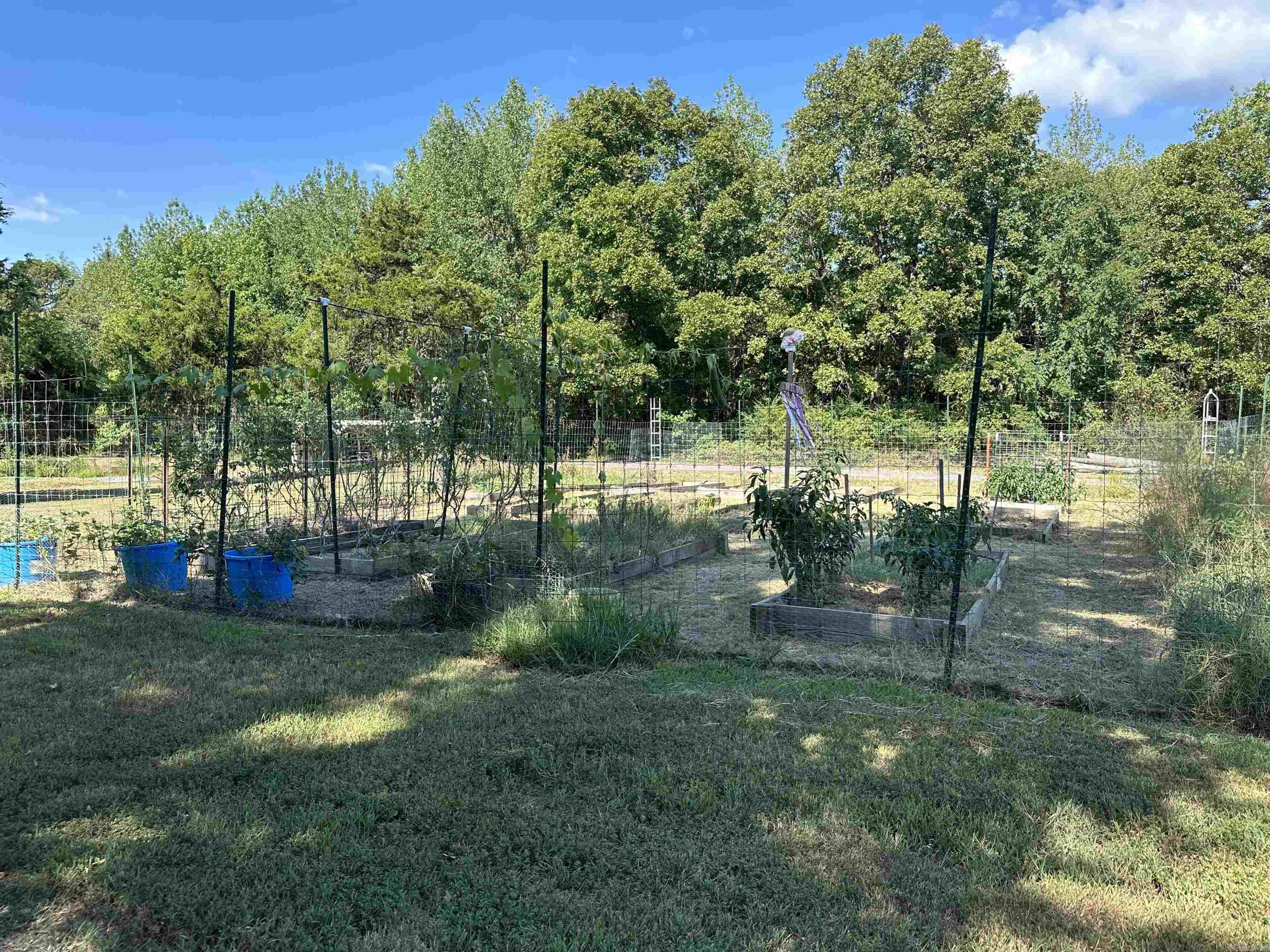 8798 Hwy. 254 E.  Dennard, AR