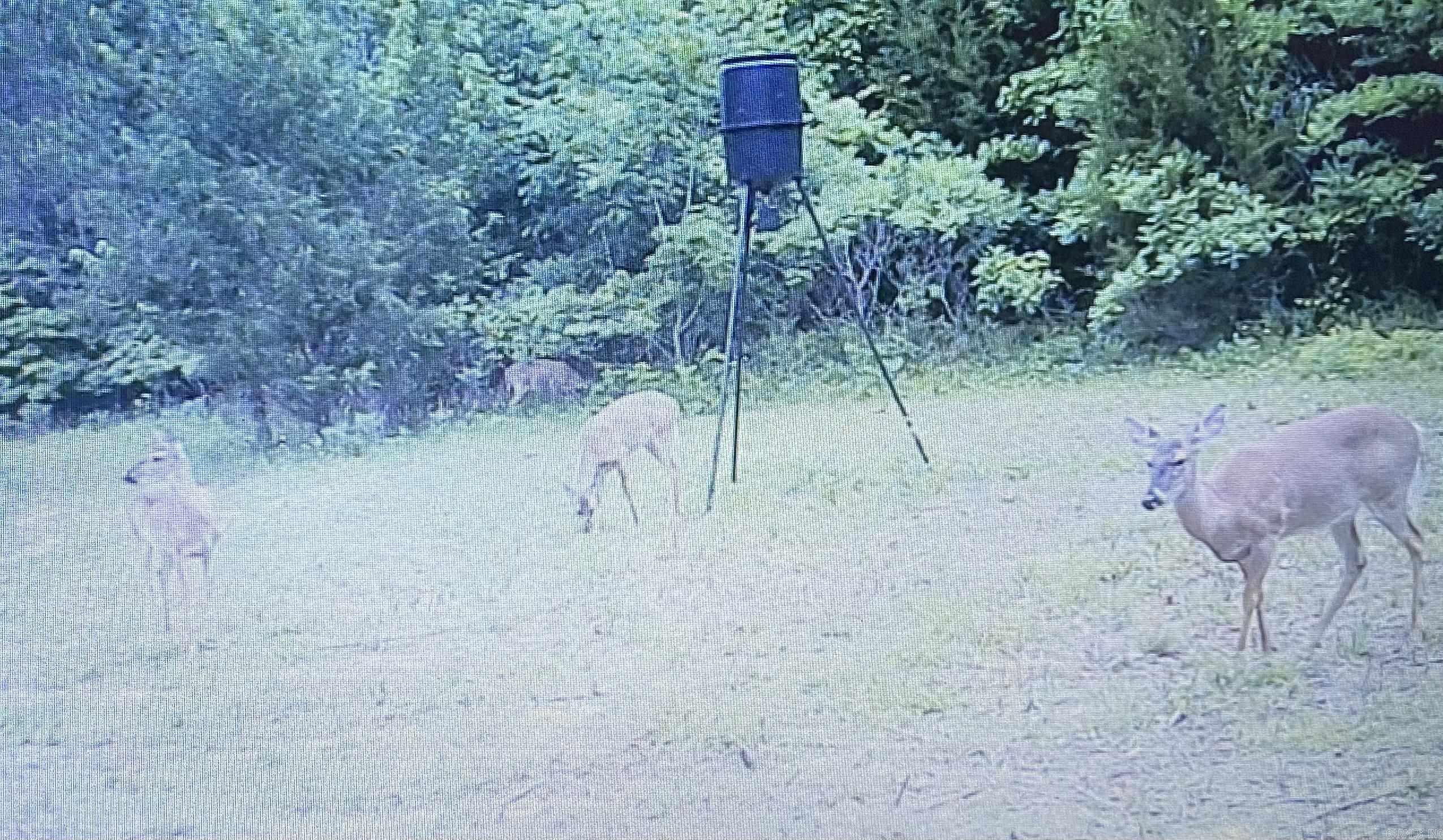 8798 Hwy. 254 E.  Dennard, AR