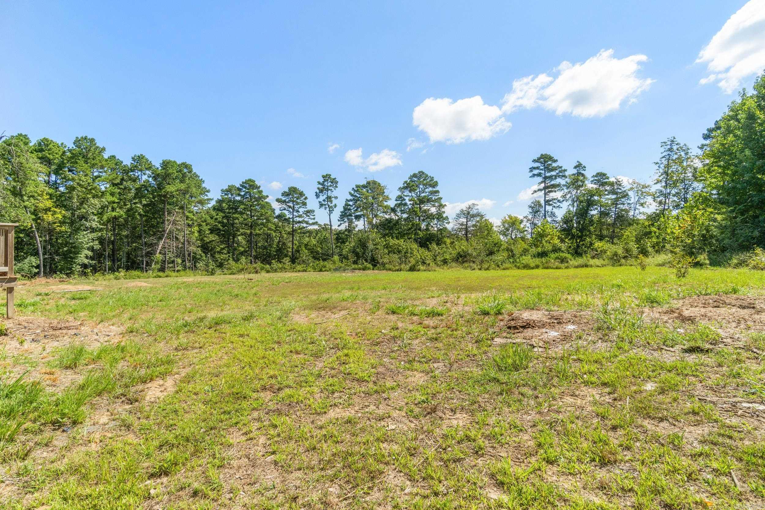 476 Jimmy Mitchell  Mountain View, AR