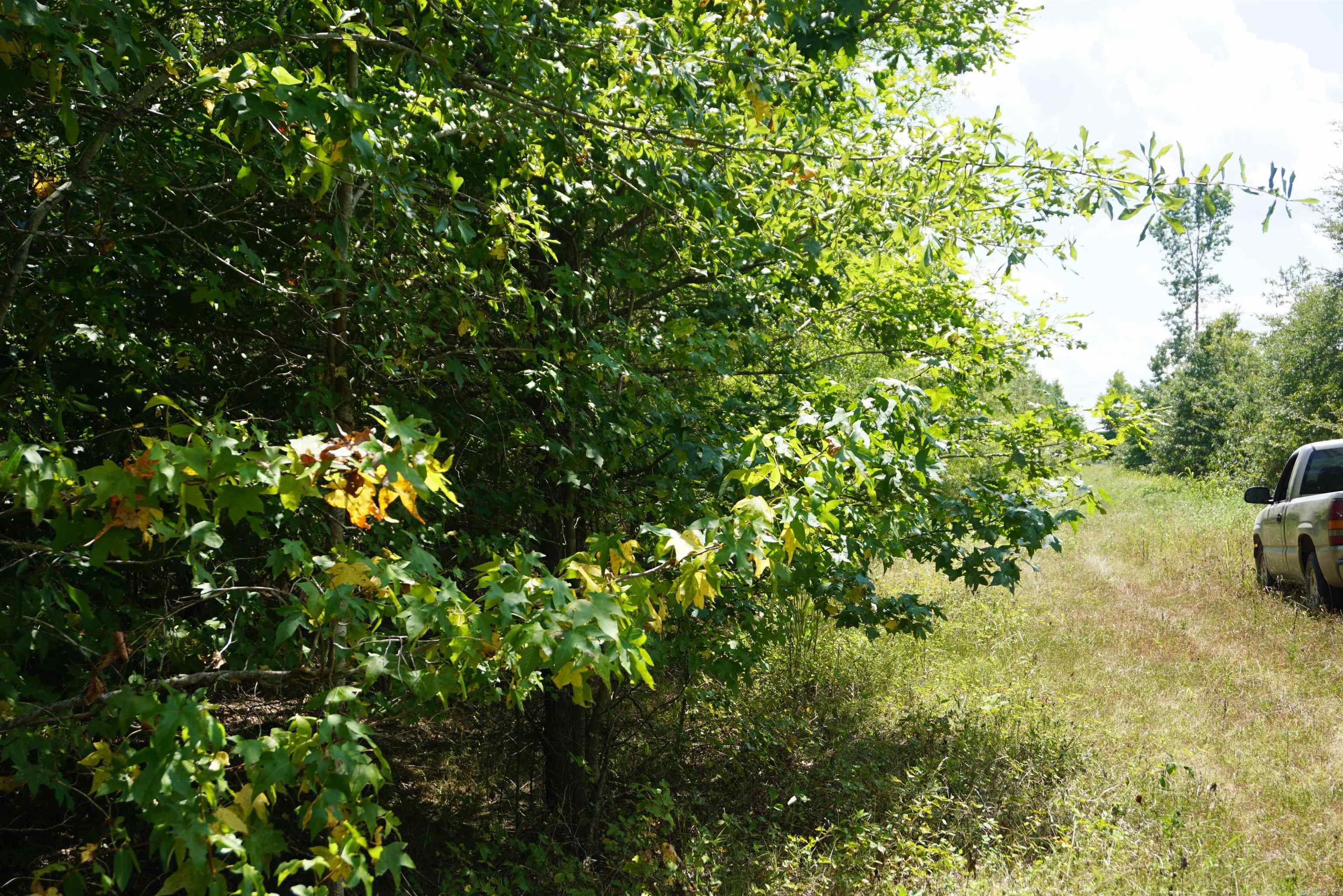 000 Stokes Rd  Bald Knob, AR