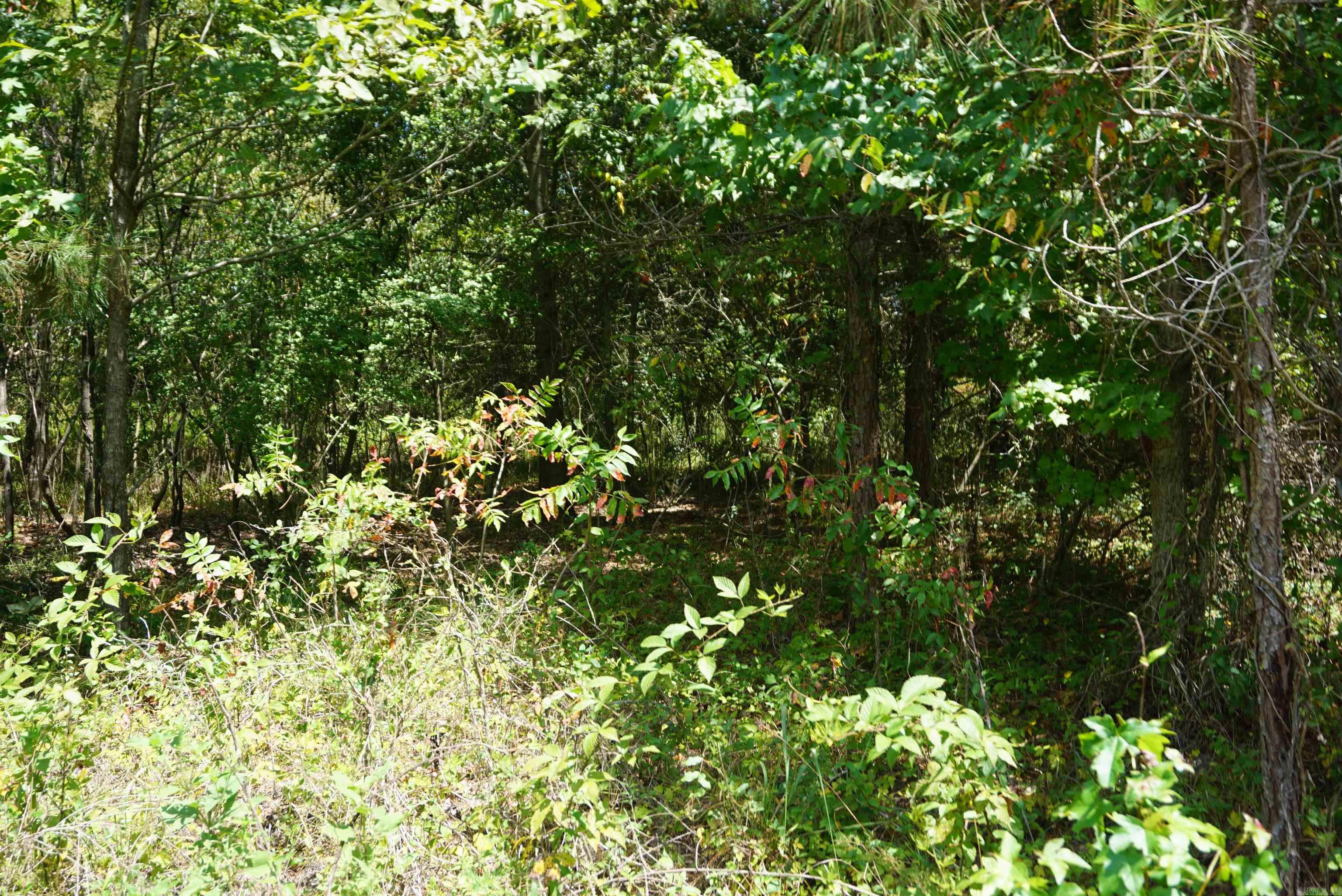 000 Stokes Rd  Bald Knob, AR