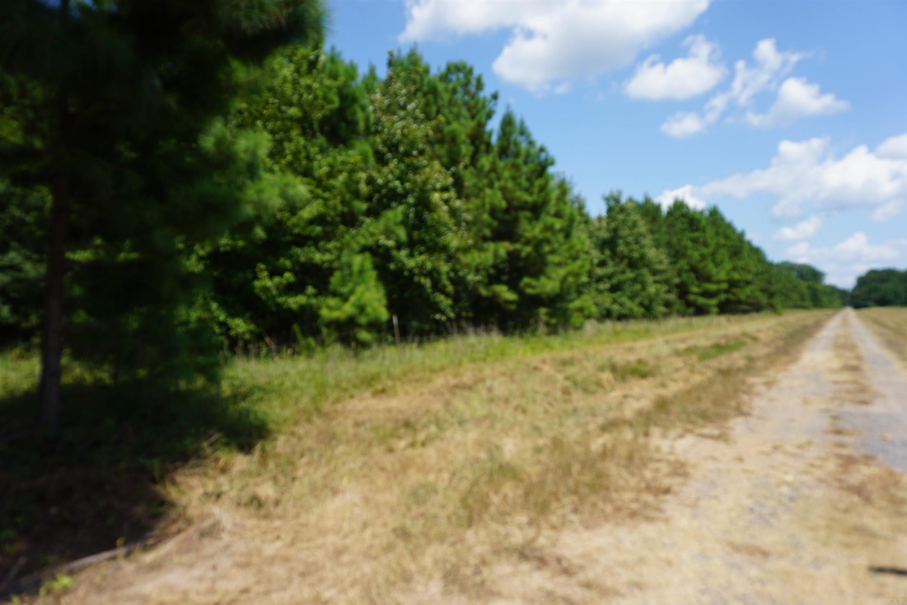 000 Stokes Rd  Bald Knob, AR